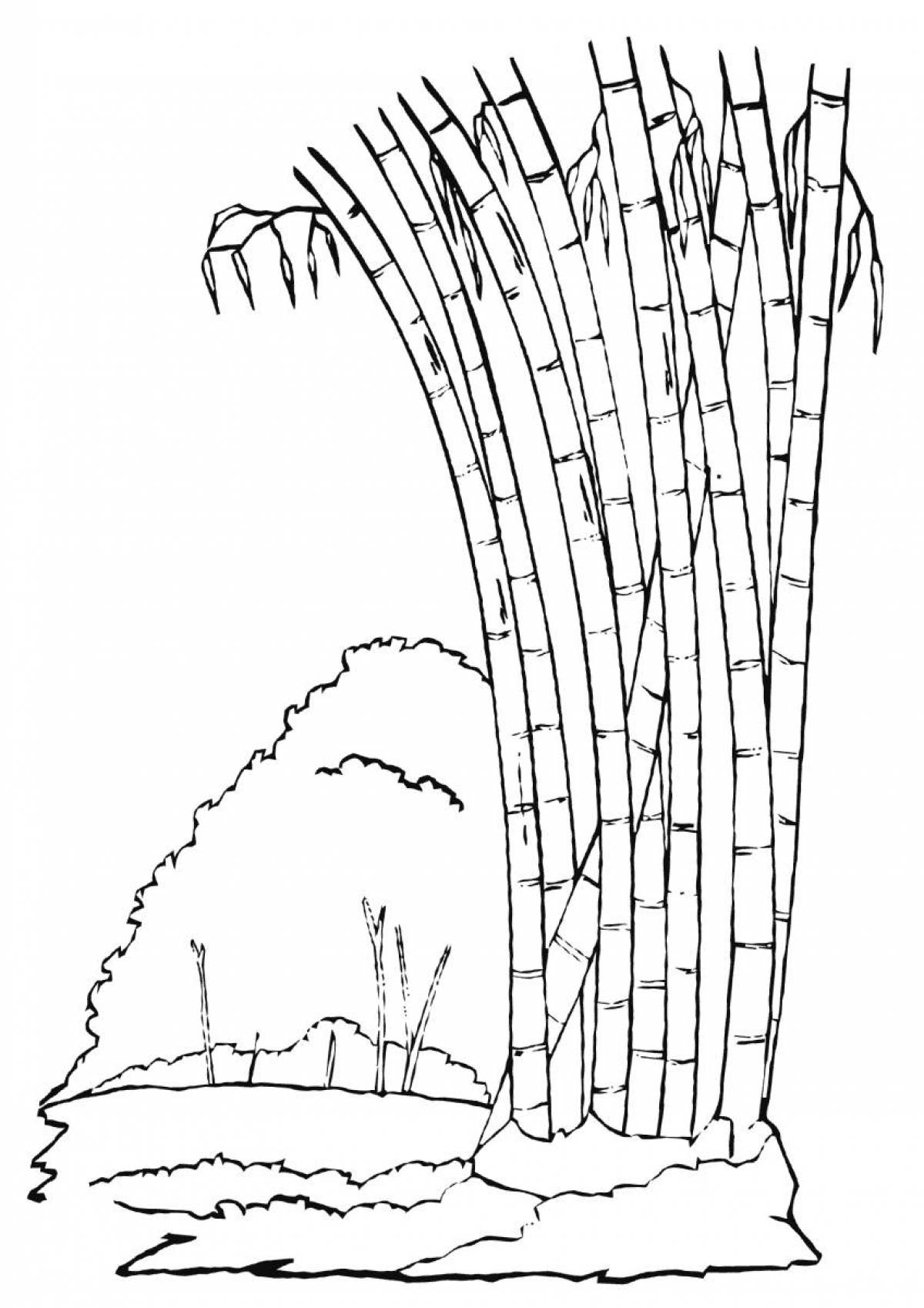 Drawing bamboo