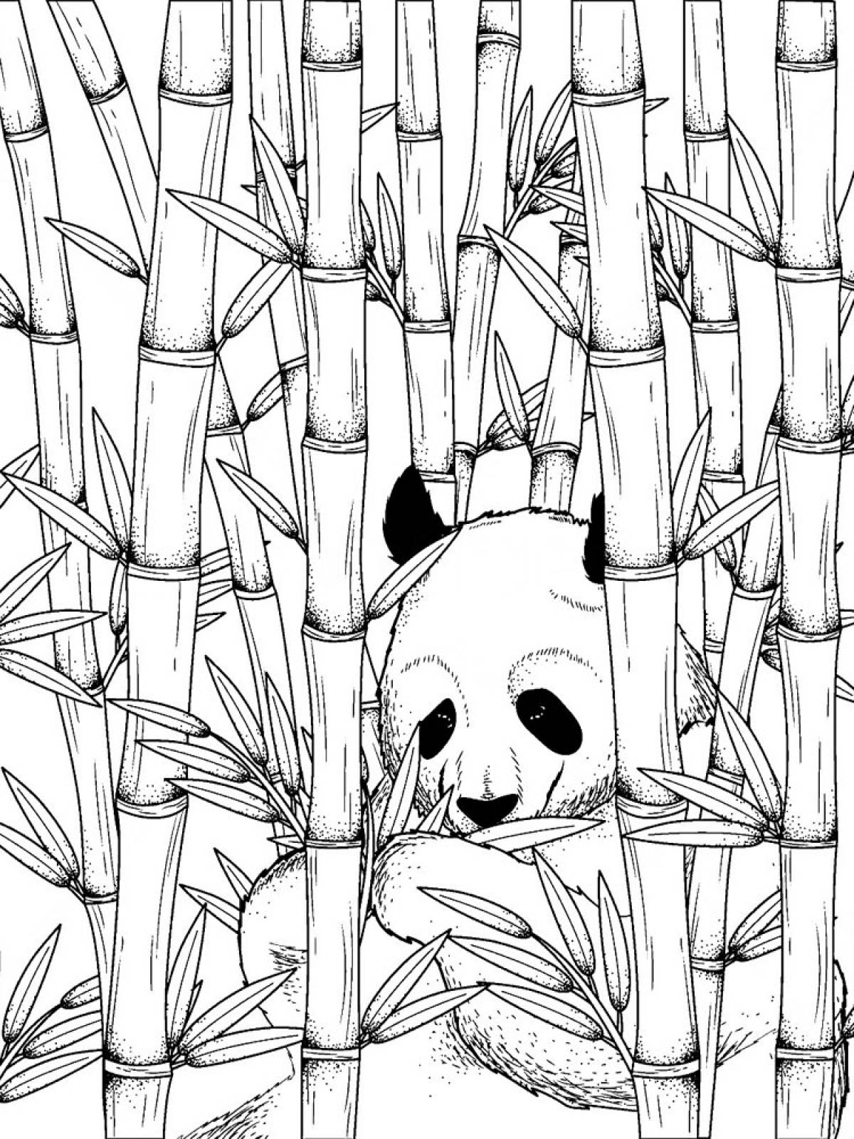 Бамбук раскраска