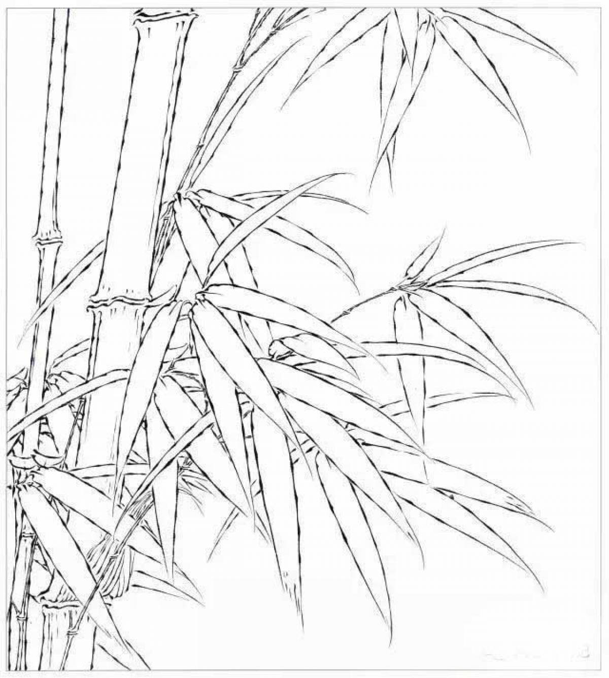Bamboo coloring page