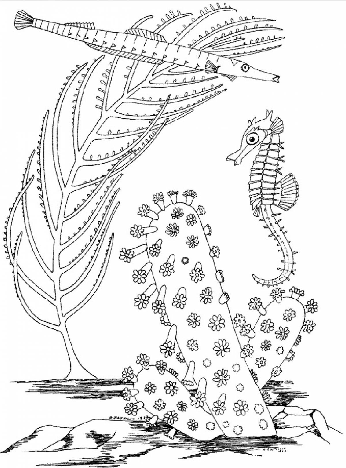 Needle fish and seahorse