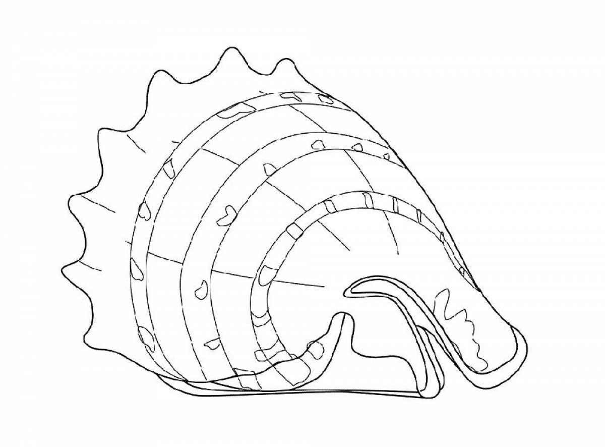 Drawing shell