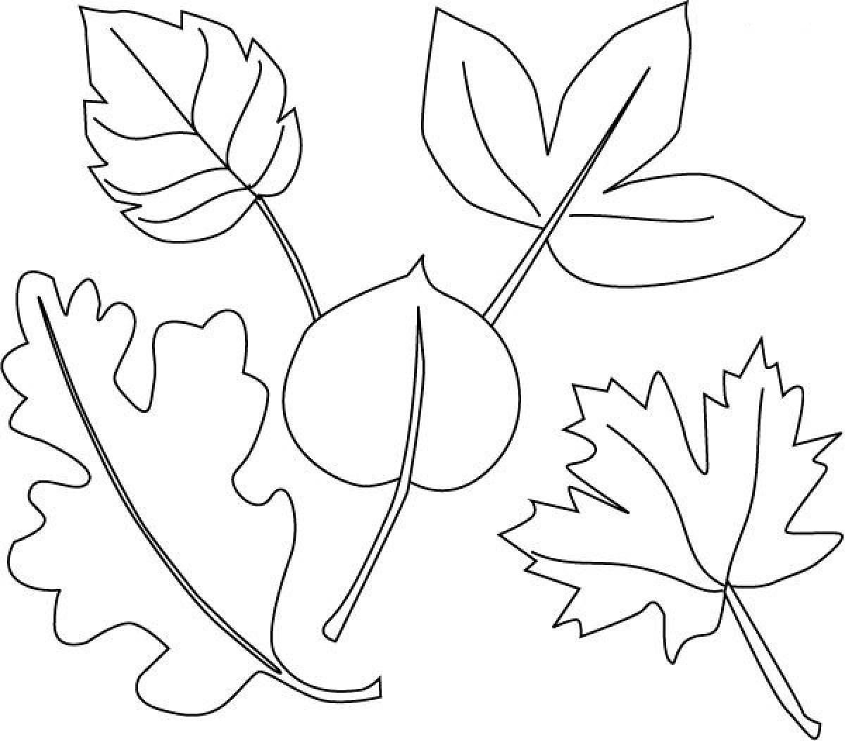 Как можно раскрасить 5 листочков. Листочки раскраска. Листья рисунок. Листья деревьев раскраска. Трафареты "листья".