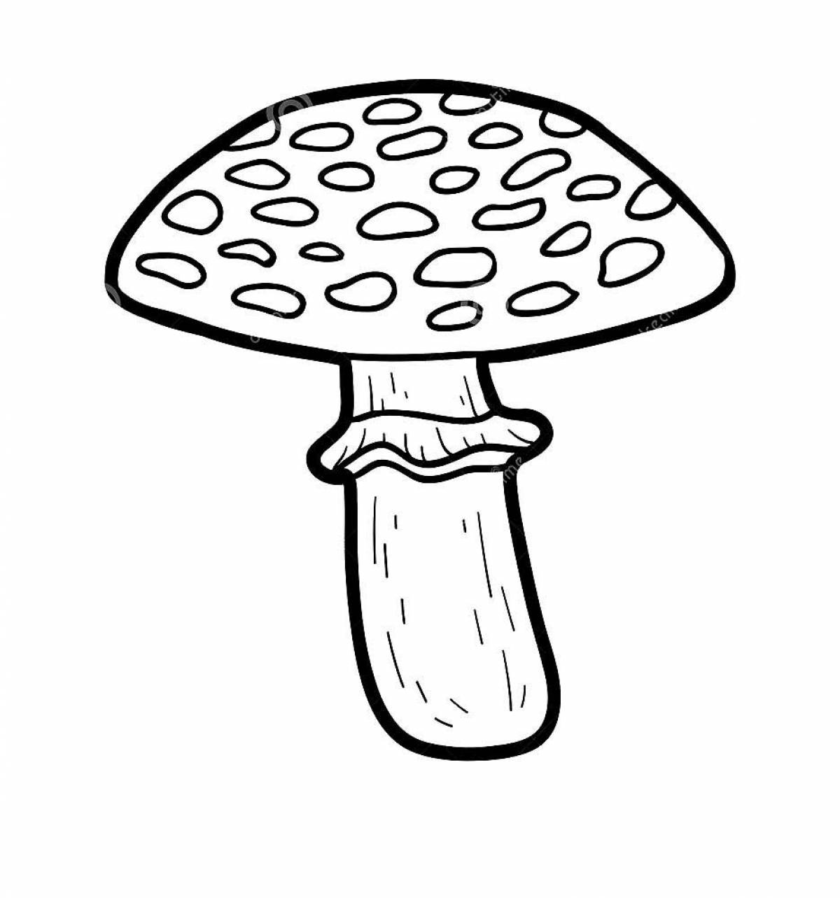 A fly agaric pattern