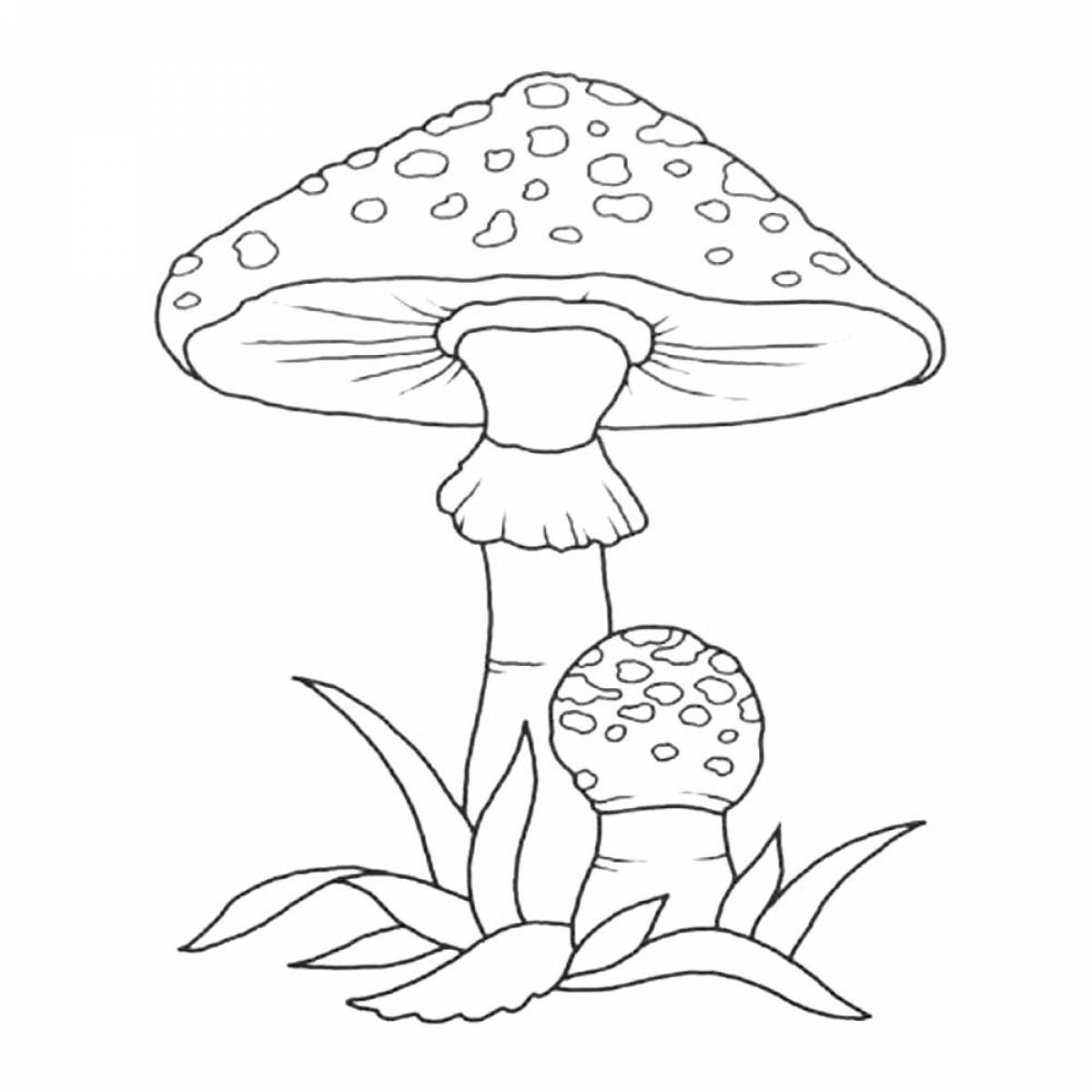 Fly agaric coloring page