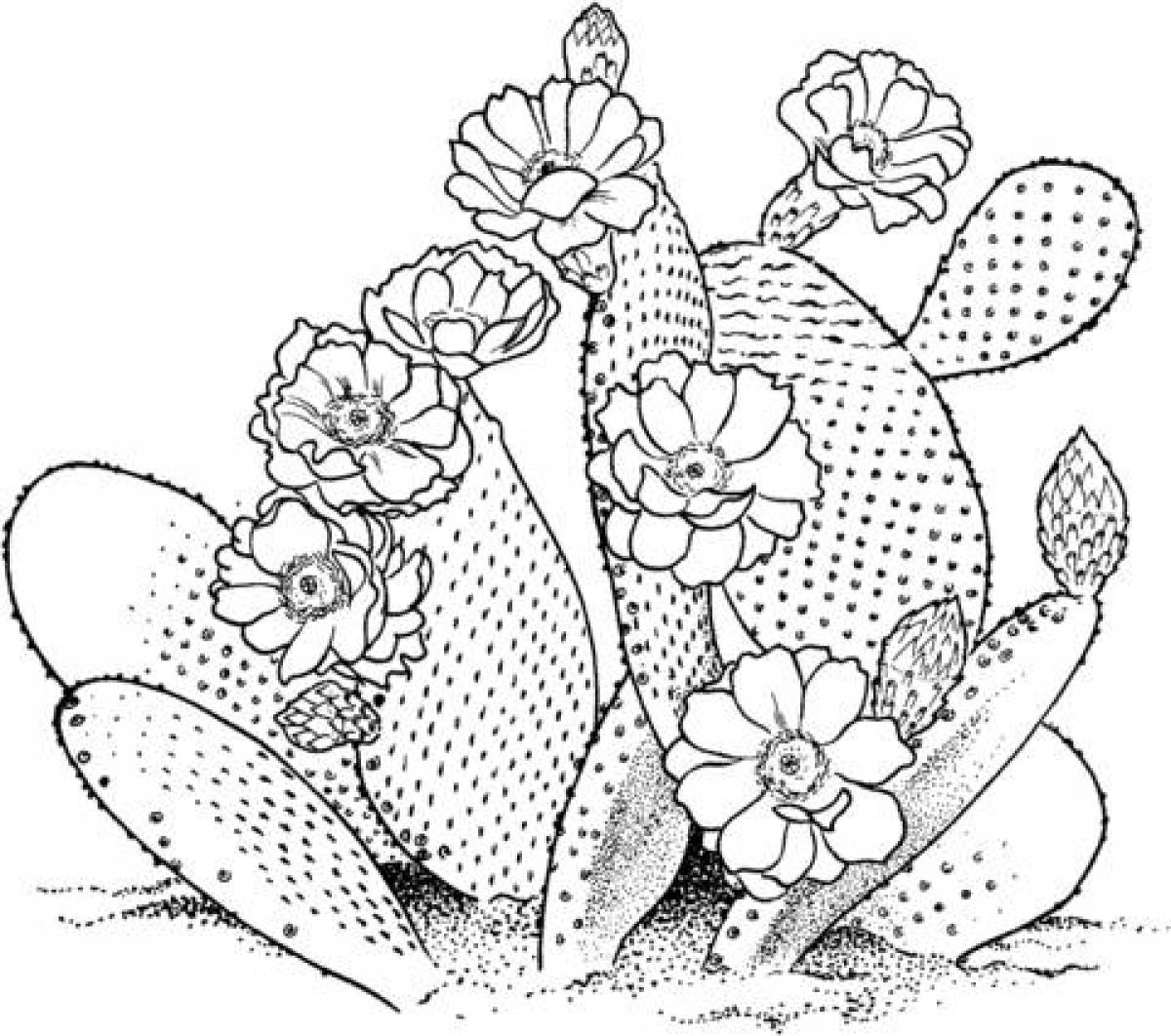 Cactus in flowers