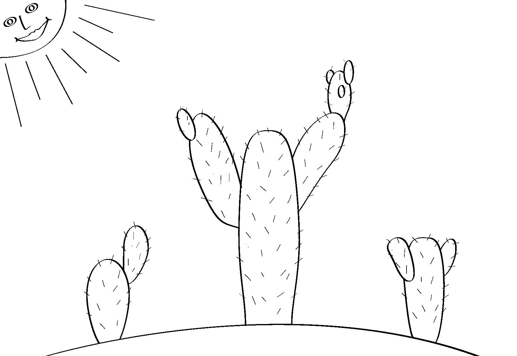 Cactus in the desert