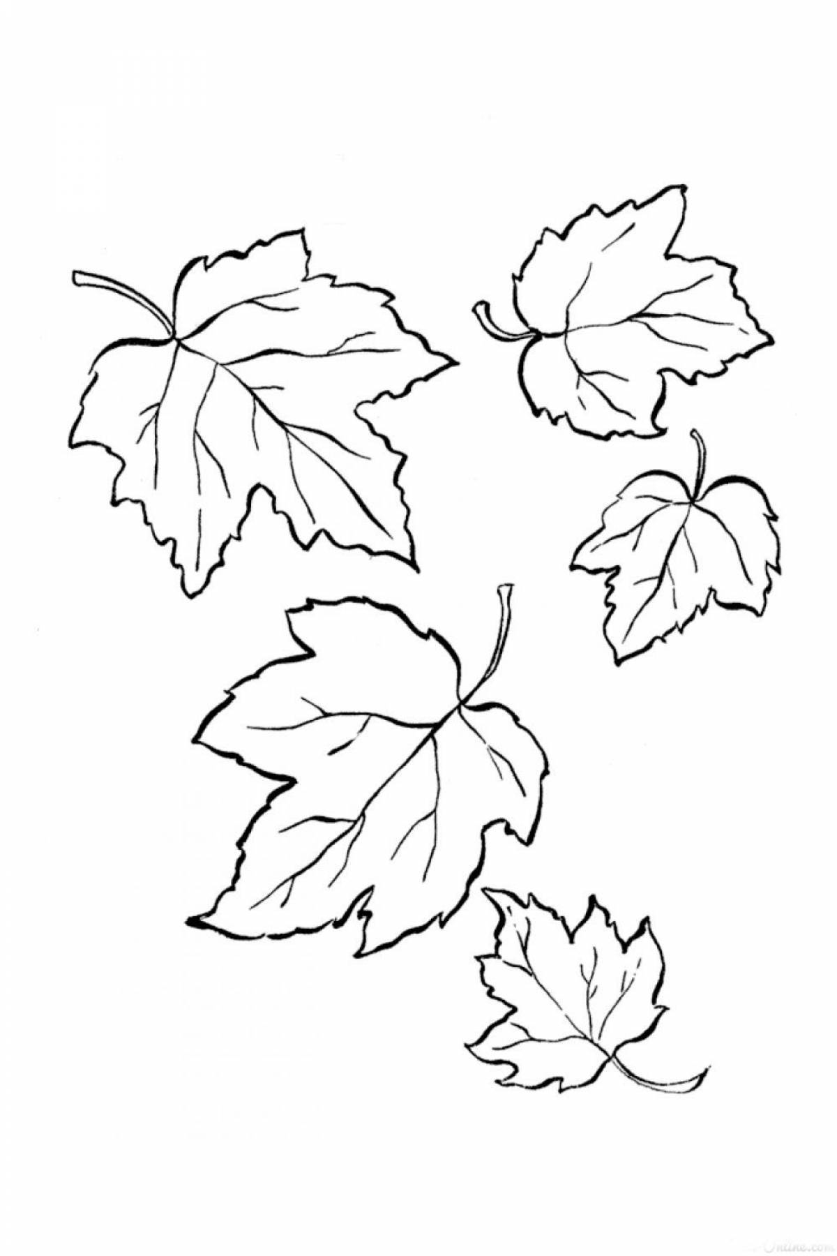 Autumn leaves coloring page