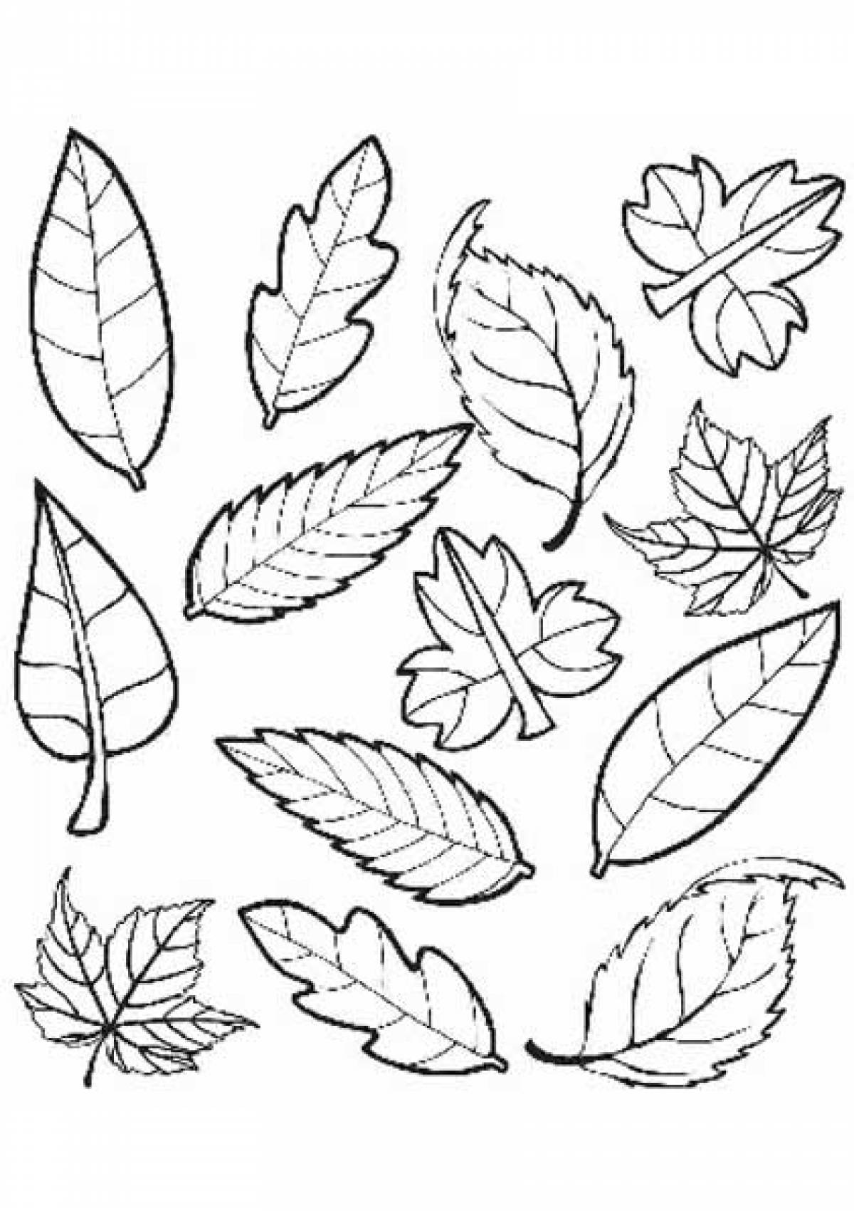 Осенние листья раскраска для детей - 78 фото