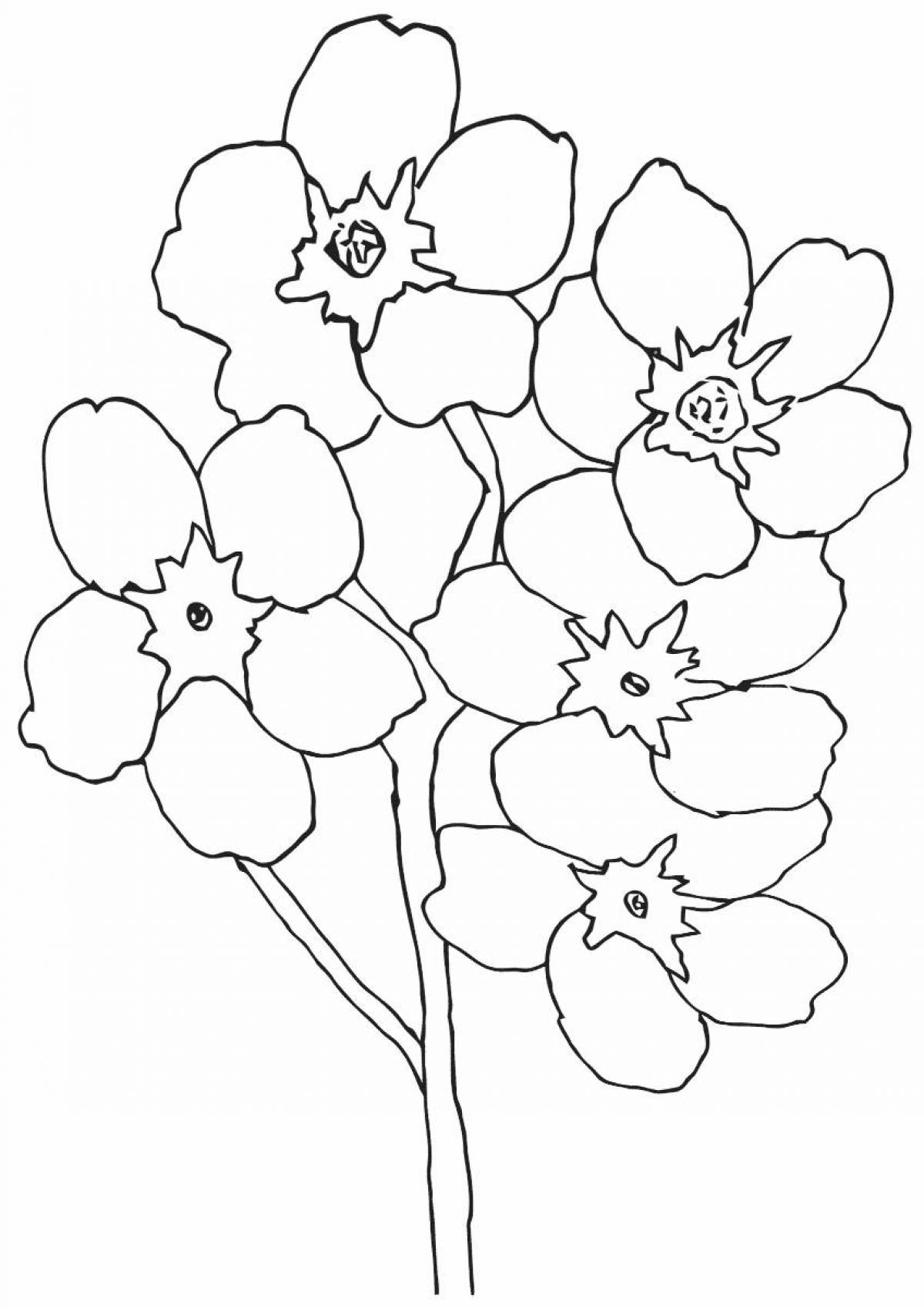 Forget-me-not coloring page