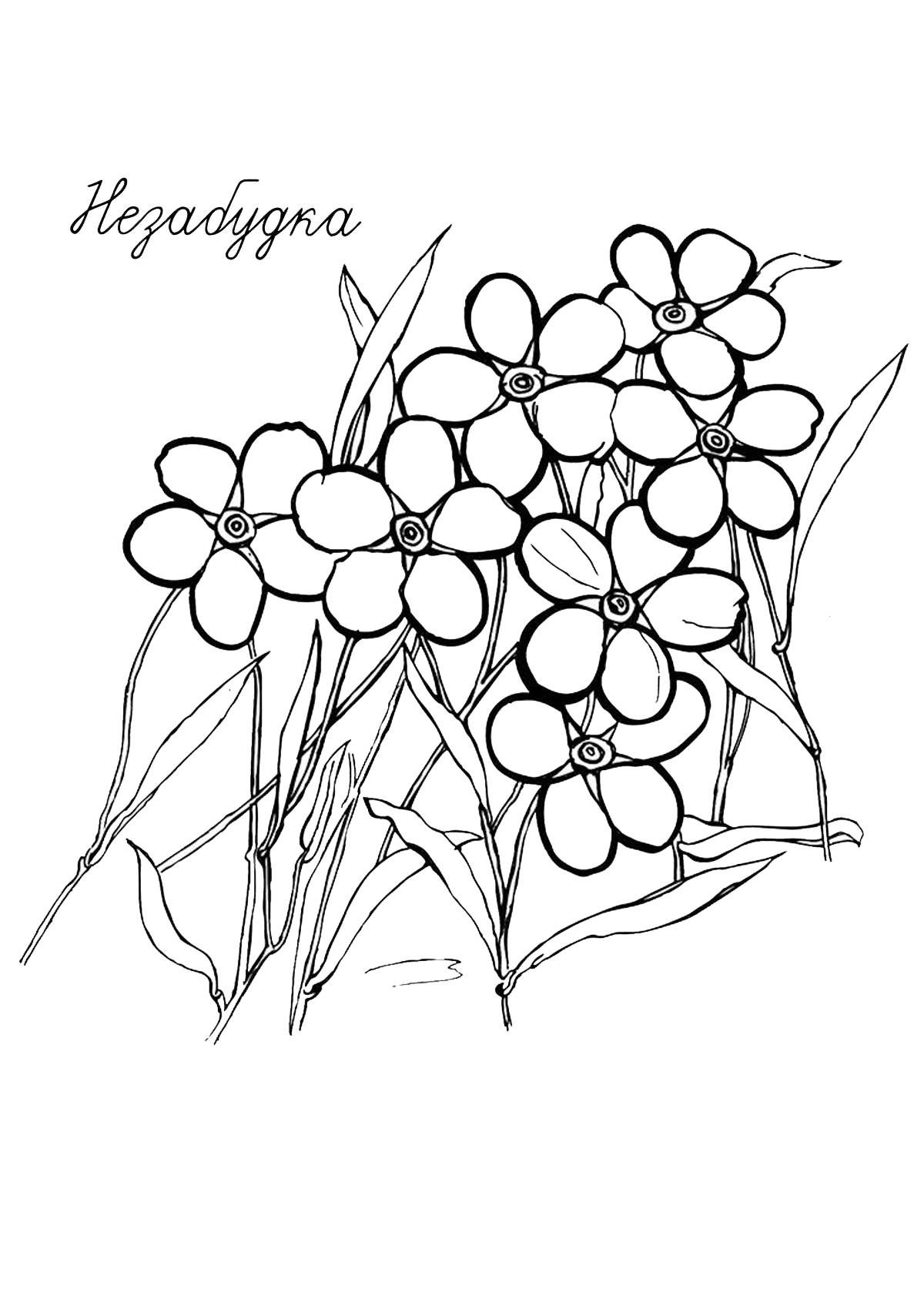 Ranok Creative Art.6010 Набор для творчества цветы из пайеток -Незабудки