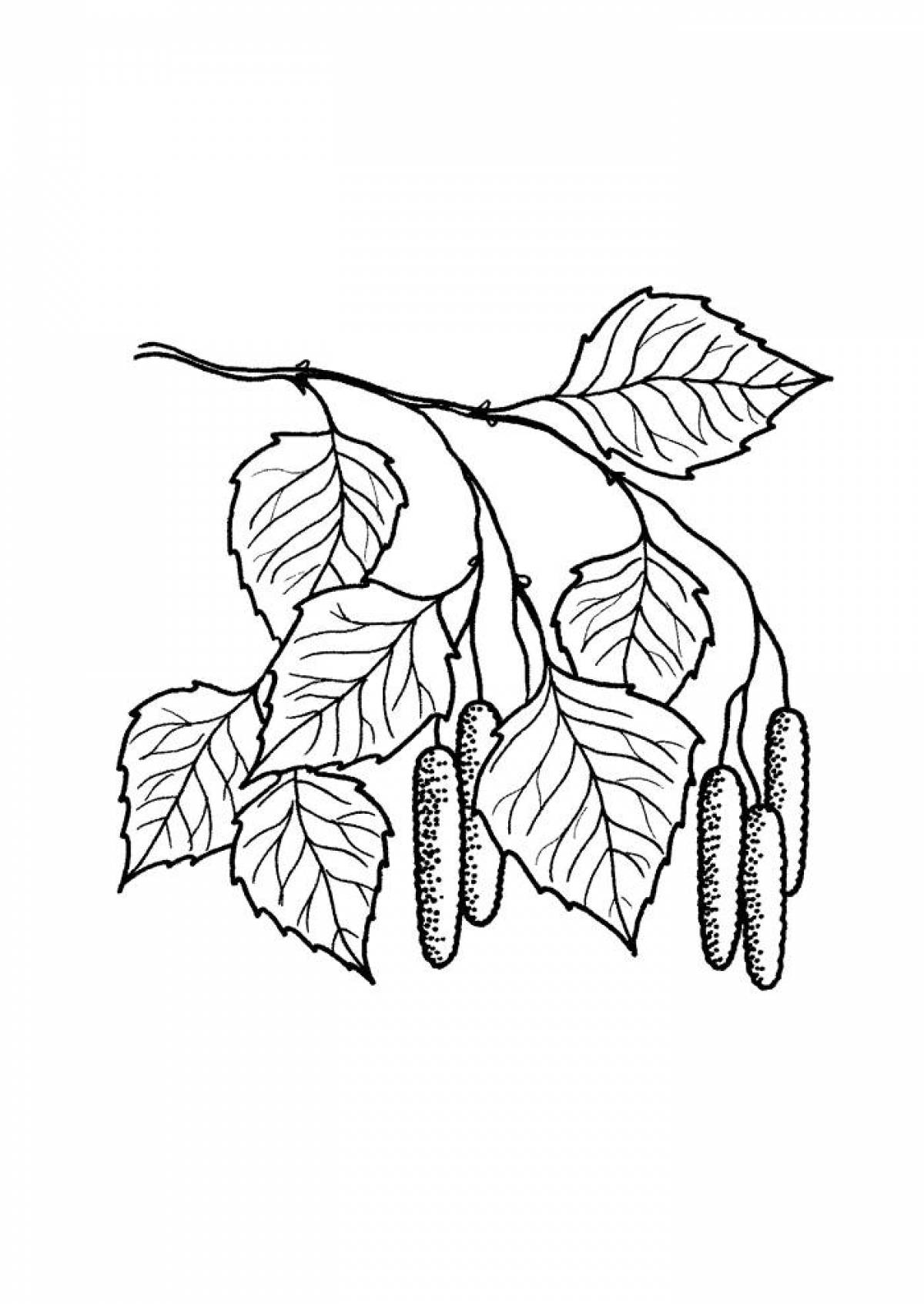 Birch coloring book for kids