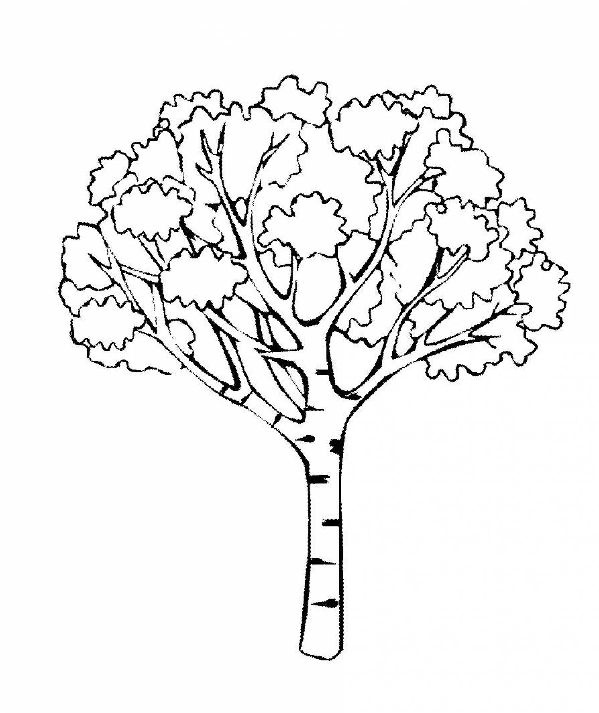 Birch coloring page