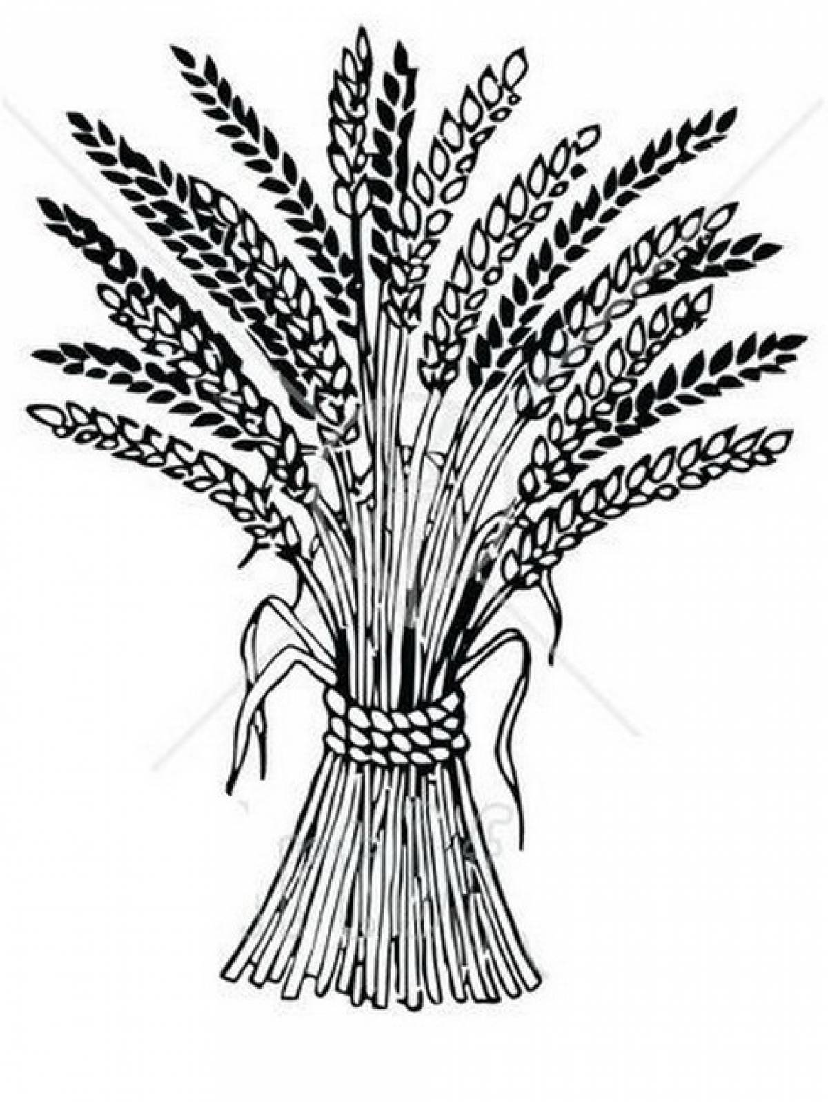 Сноп пшеницы