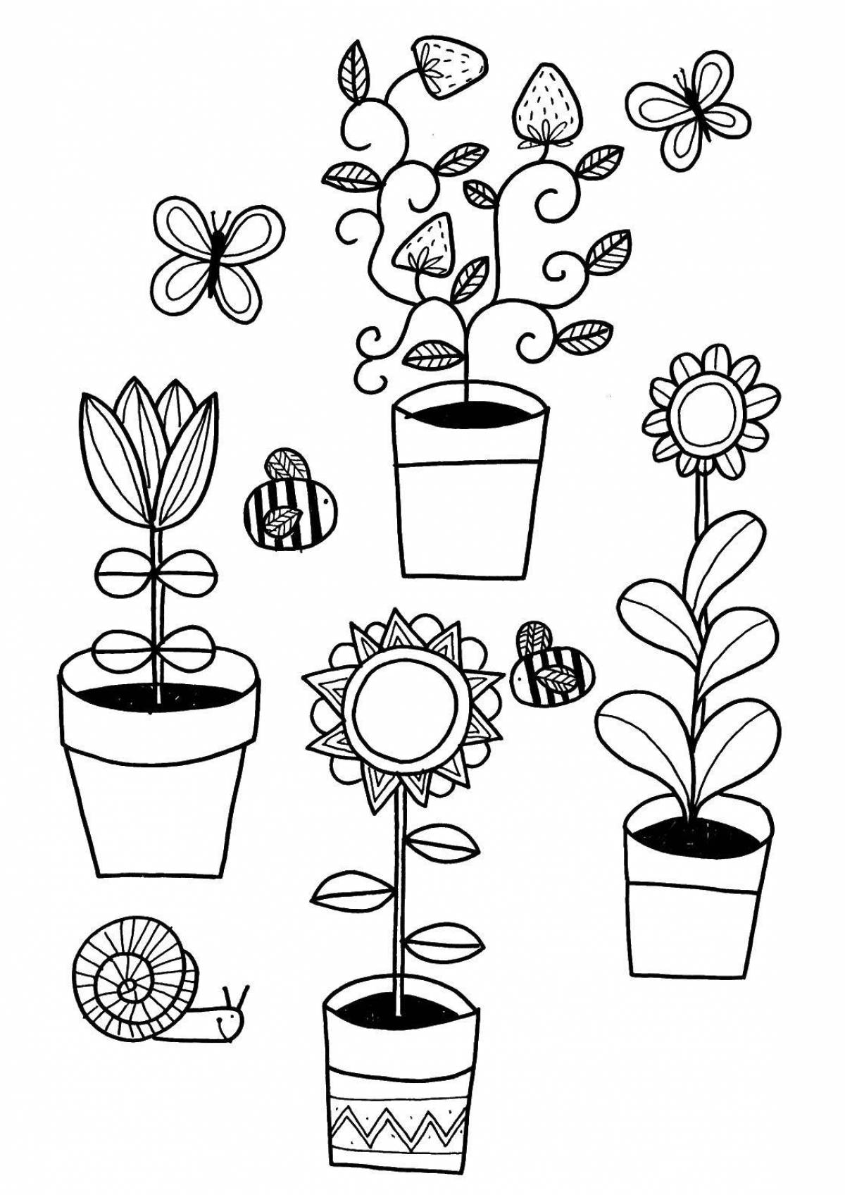 Plants in pots
