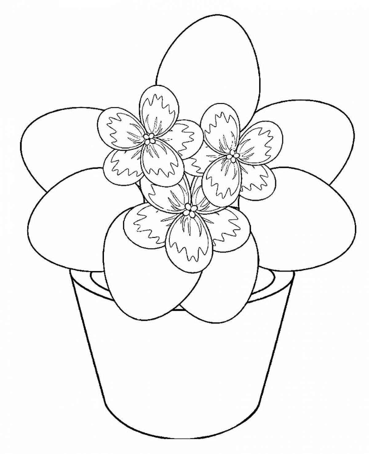 Violet coloring page