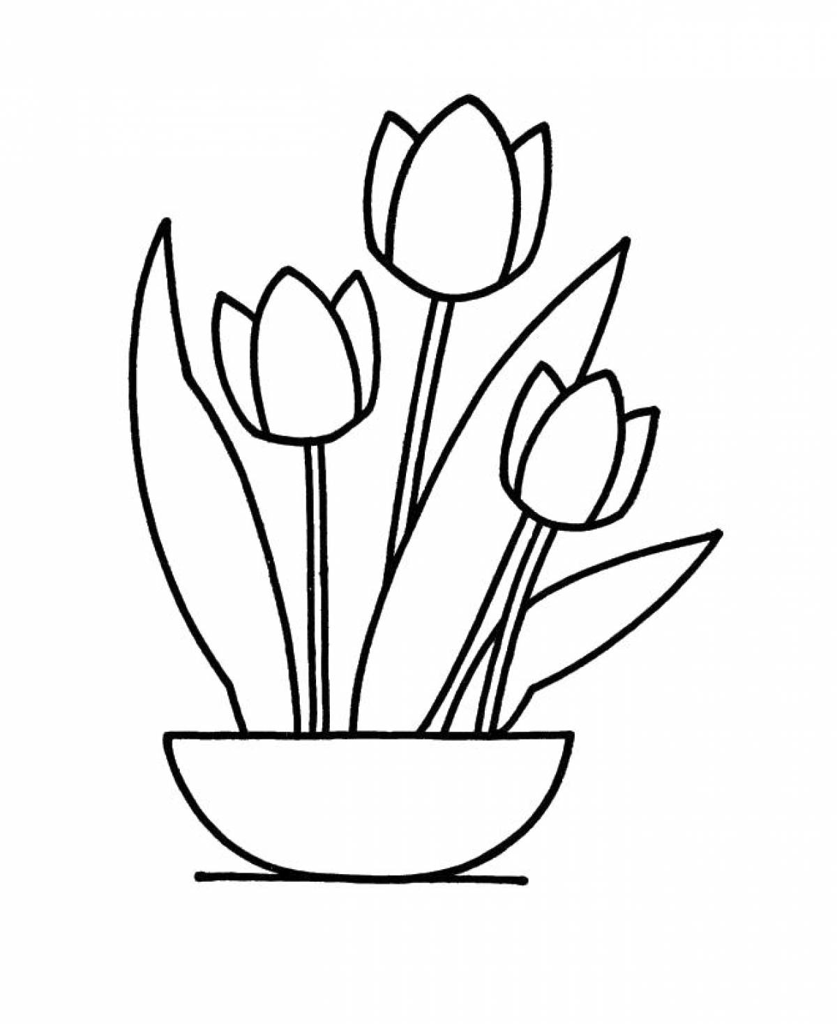 Tulips in a cup