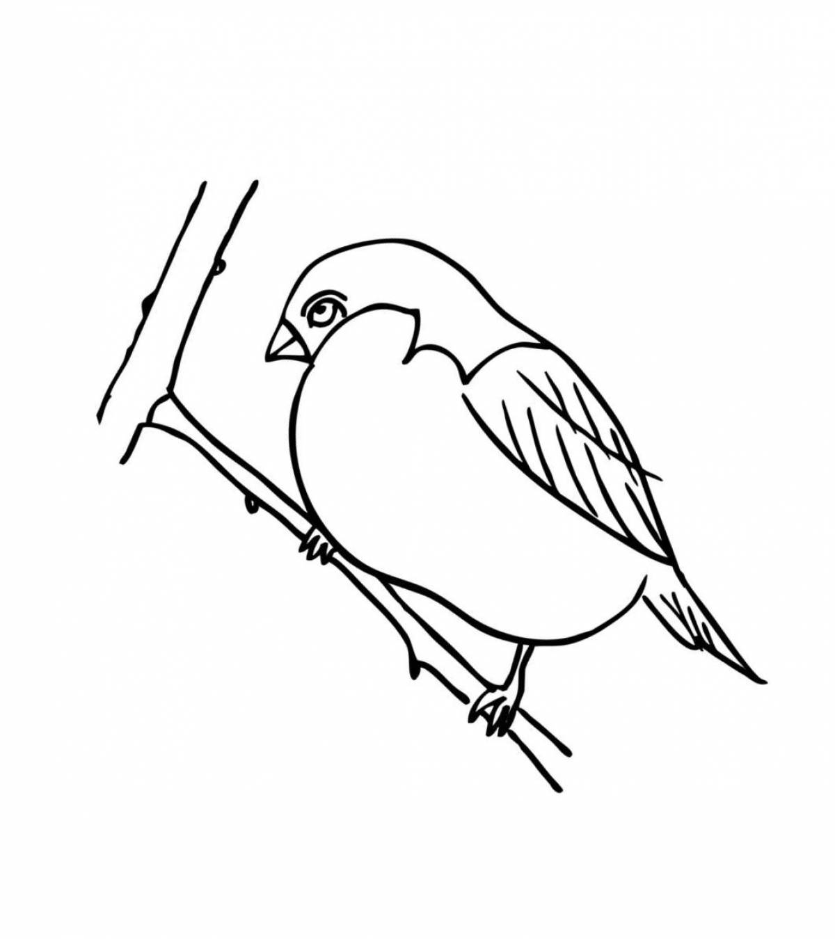 Bullfinch on a branch printable coloring page
