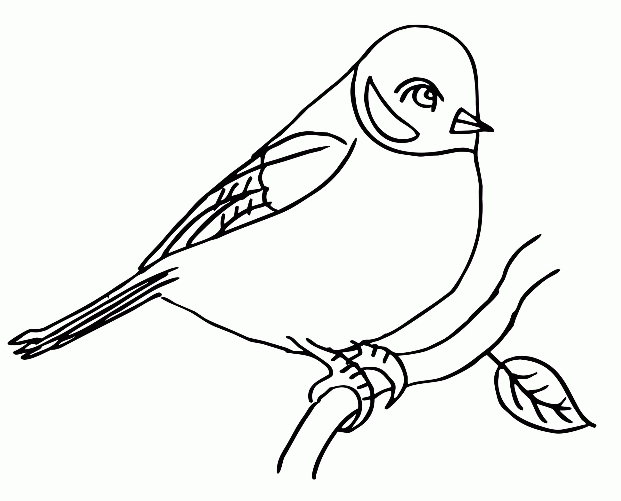 Bird on a branch coloring page print