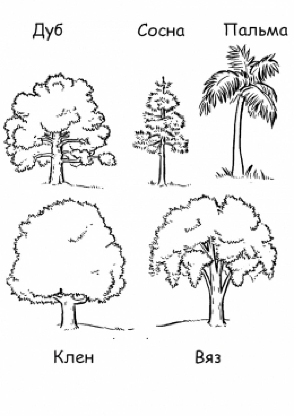 Tree types