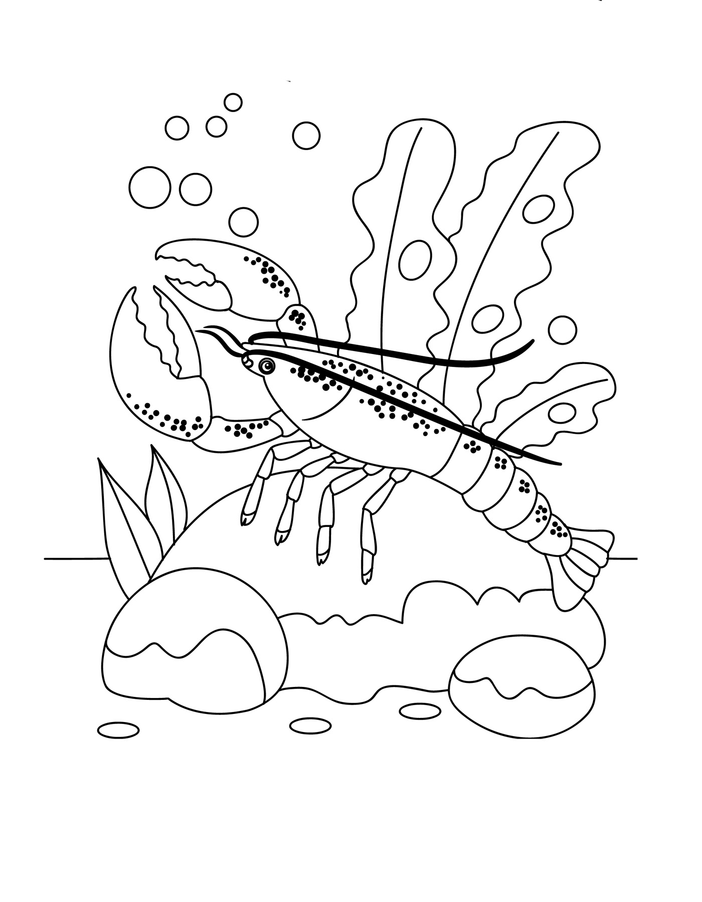 Sea bottom coloring page