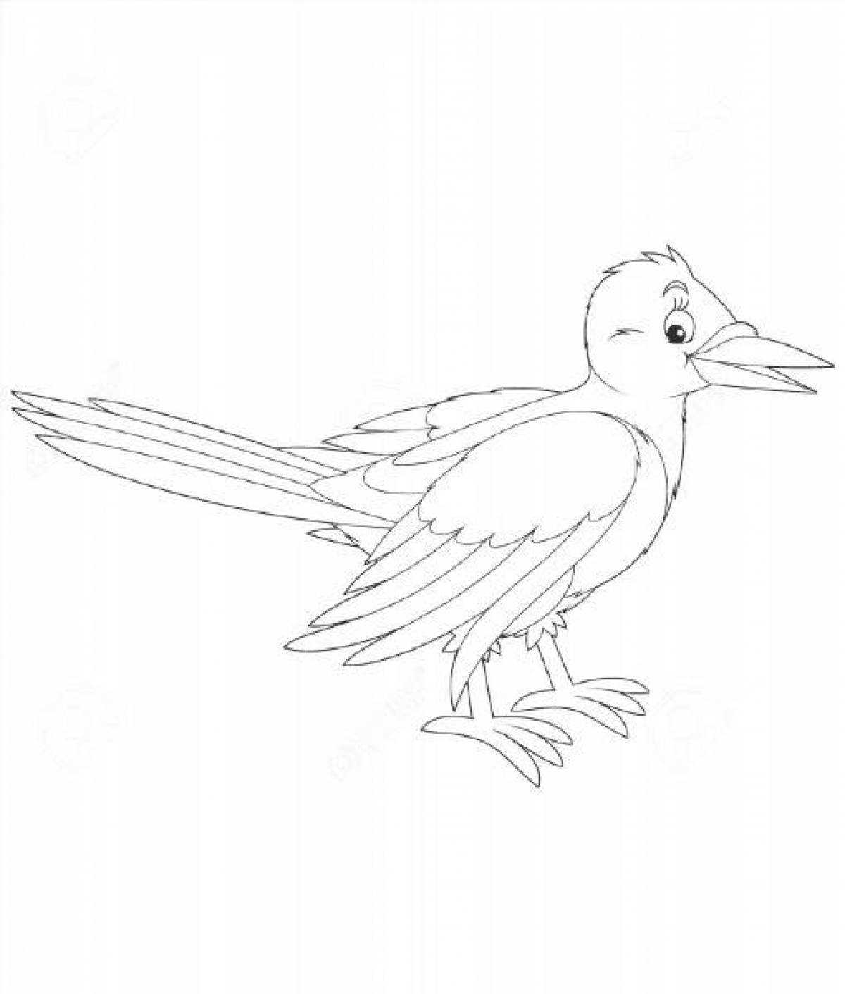 Magpie drawing