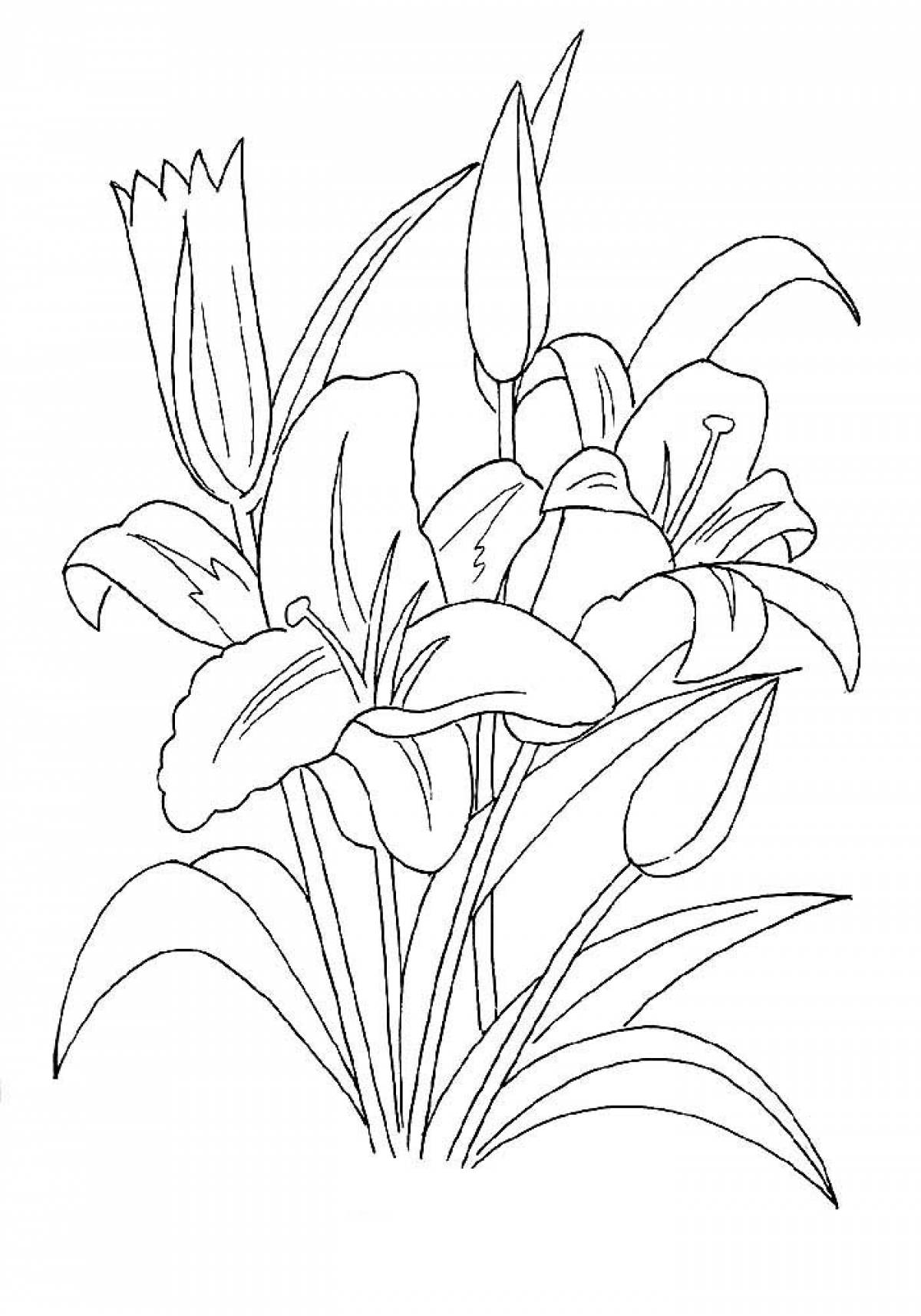 Картинка лилия