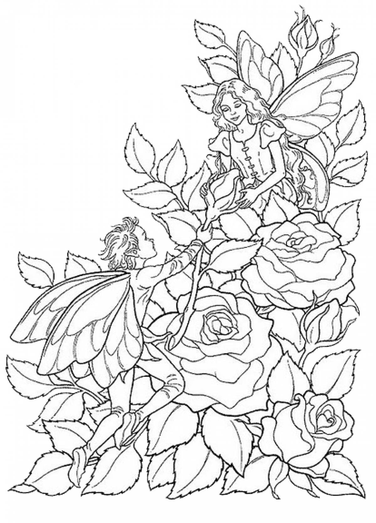 Thumbelina roses