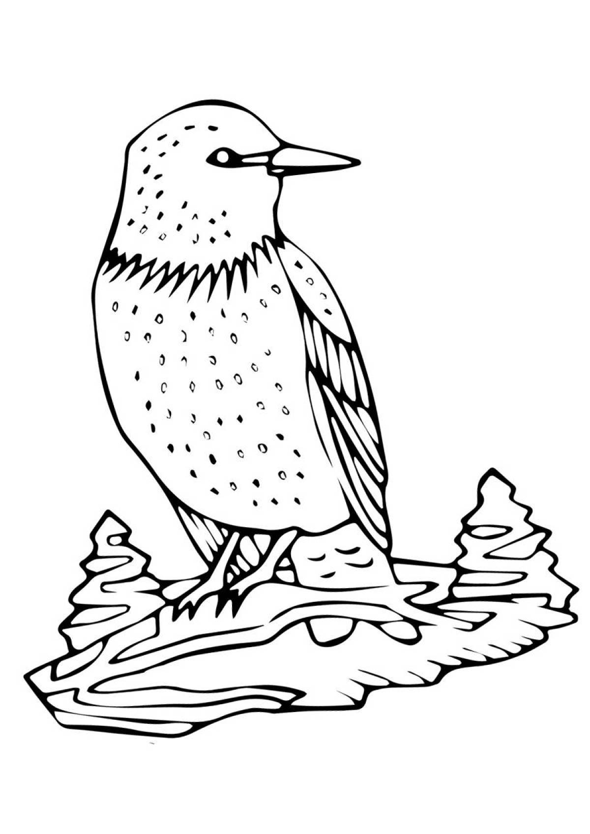 Drawing starling