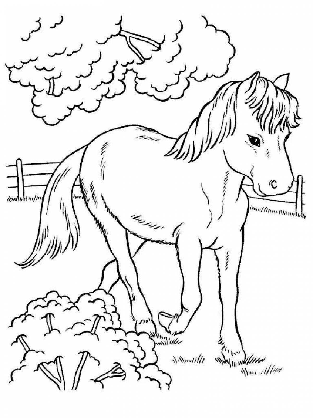 Животные. Картинки для раскрашивания животные. Раскраски. Африка раскраска для детей. Рисунки для раскраски.