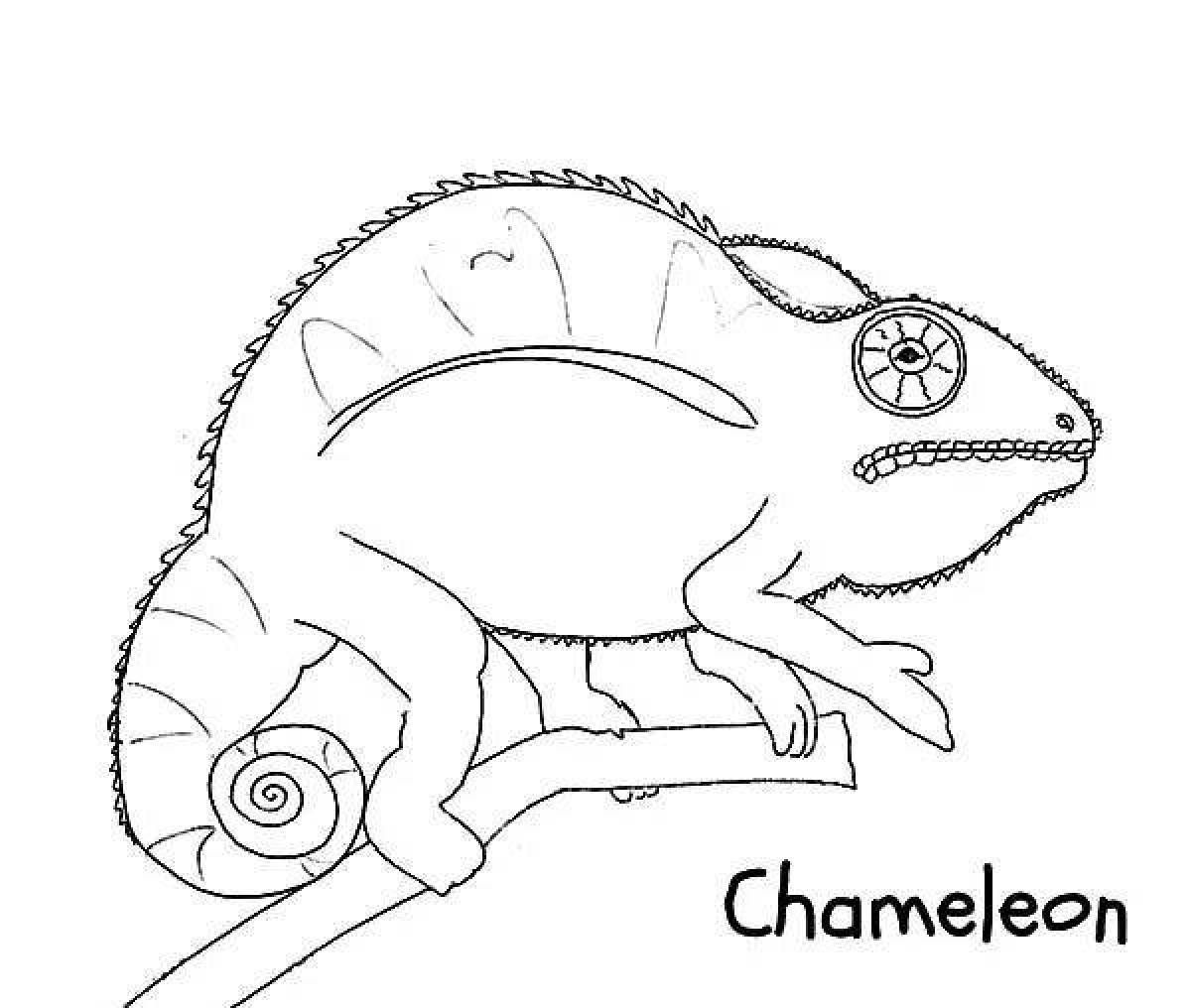 Happy chameleon coloring page