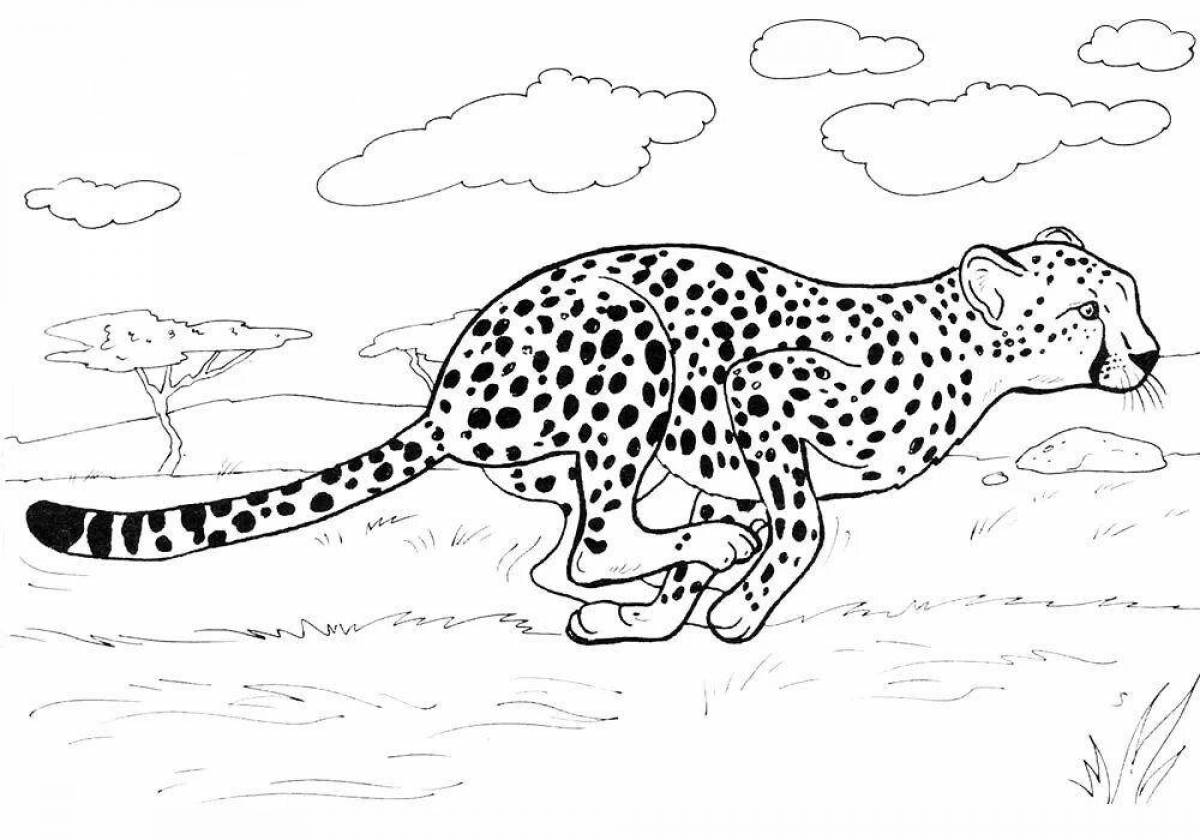 Rampant African honey badger coloring page