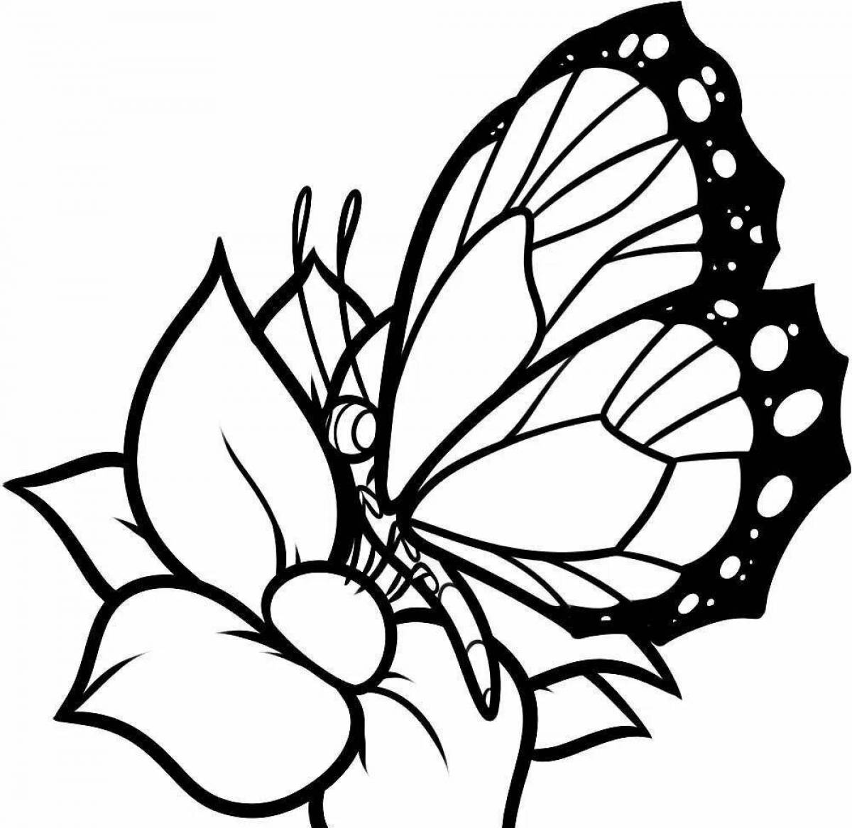 A graceful butterfly on a fragrant flower