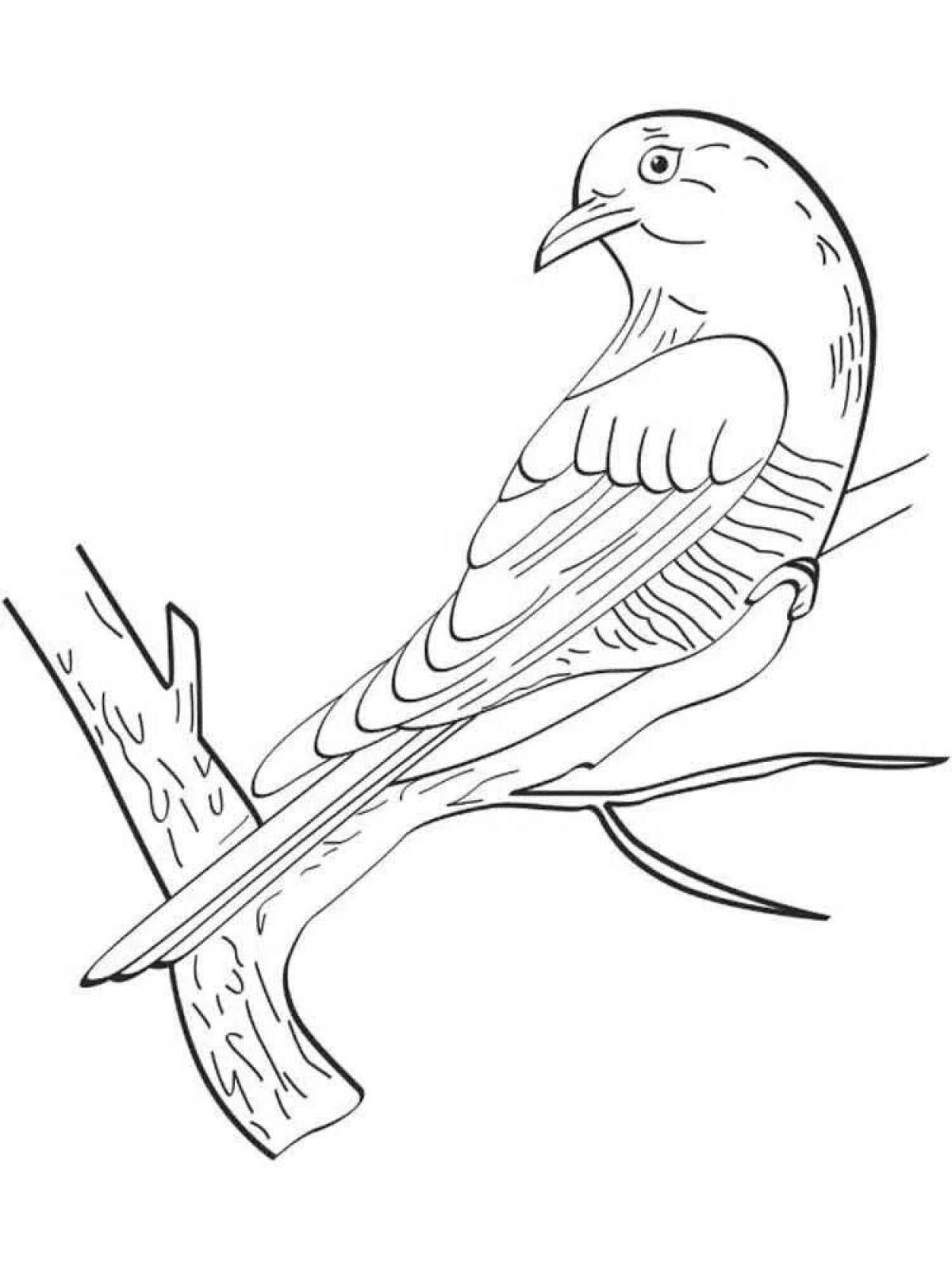 Coloring book with a cuckoo for preschoolers