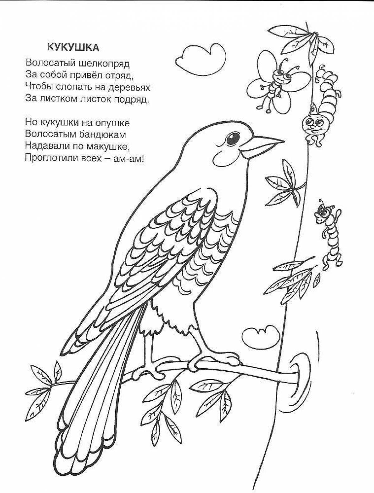 Cuckoo fun coloring book for kids