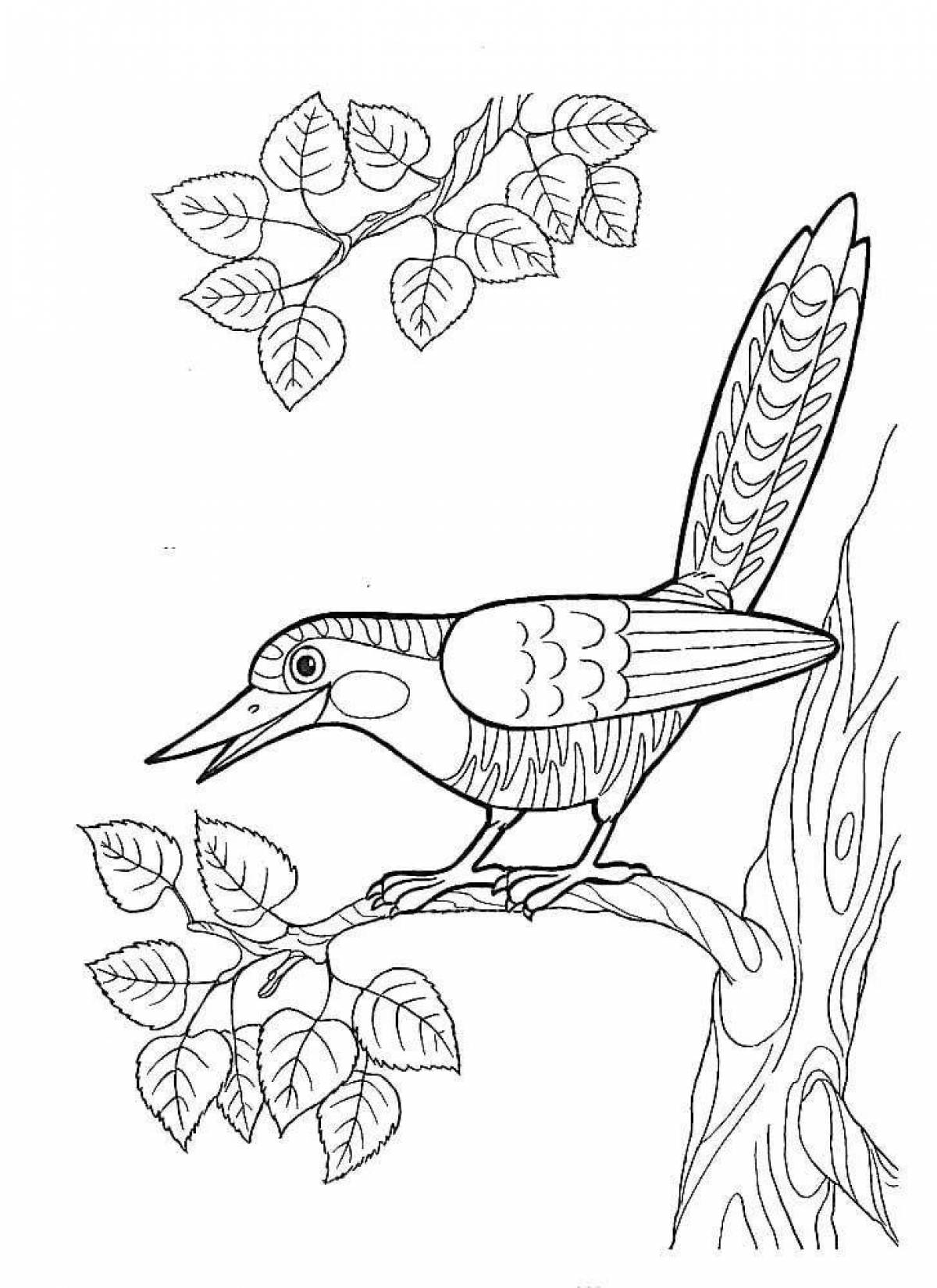 Delightful cuckoo coloring for juniors
