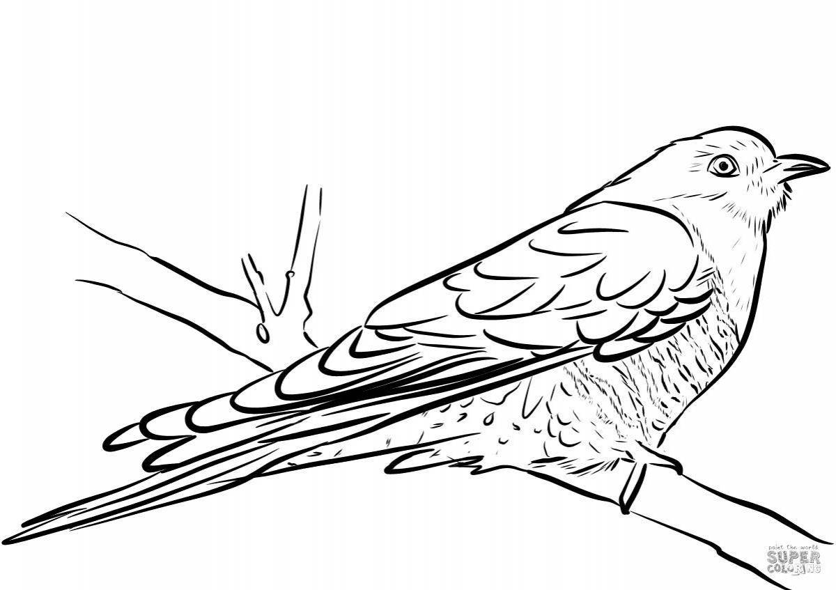 Adorable cuckoo coloring book for beginners