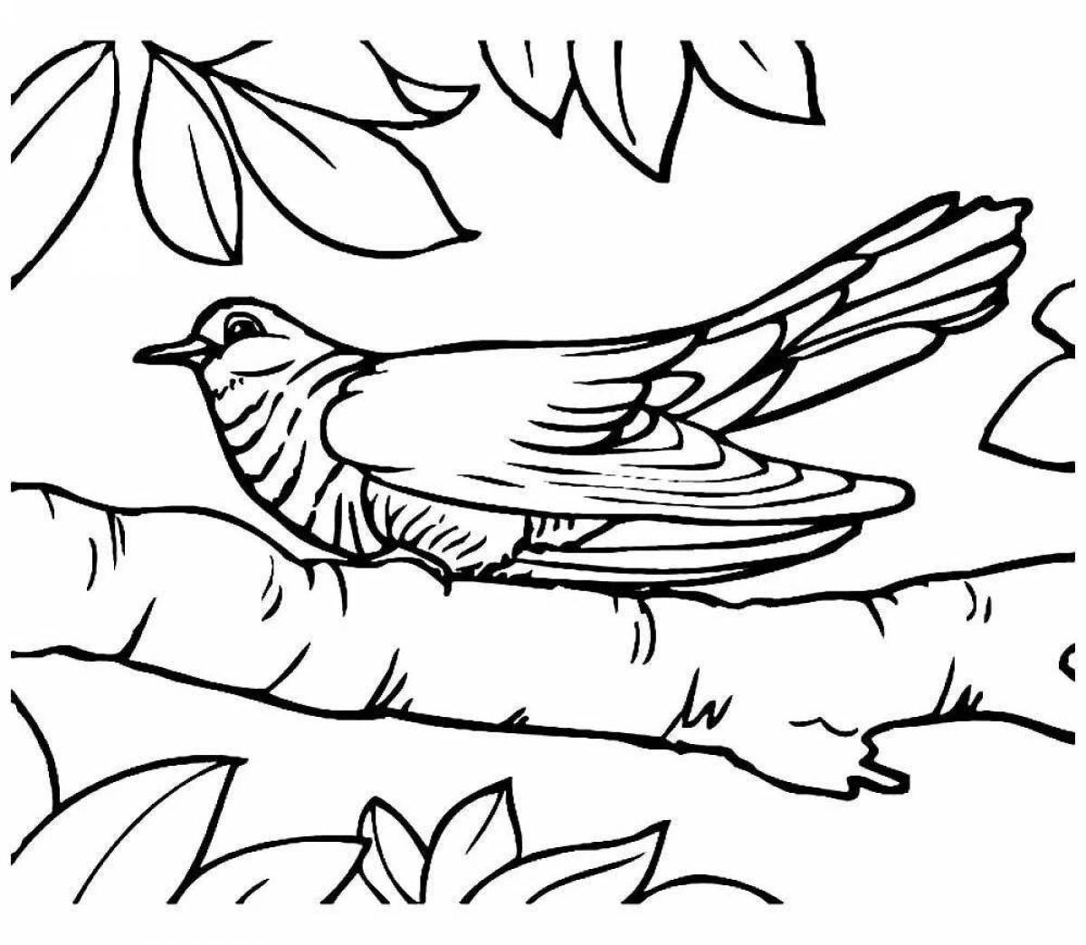 Adorable cuckoo coloring for schoolchildren