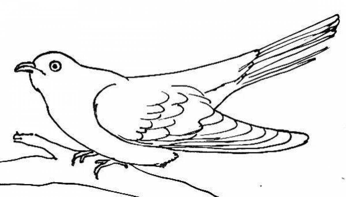 Fun cuckoo coloring book for students