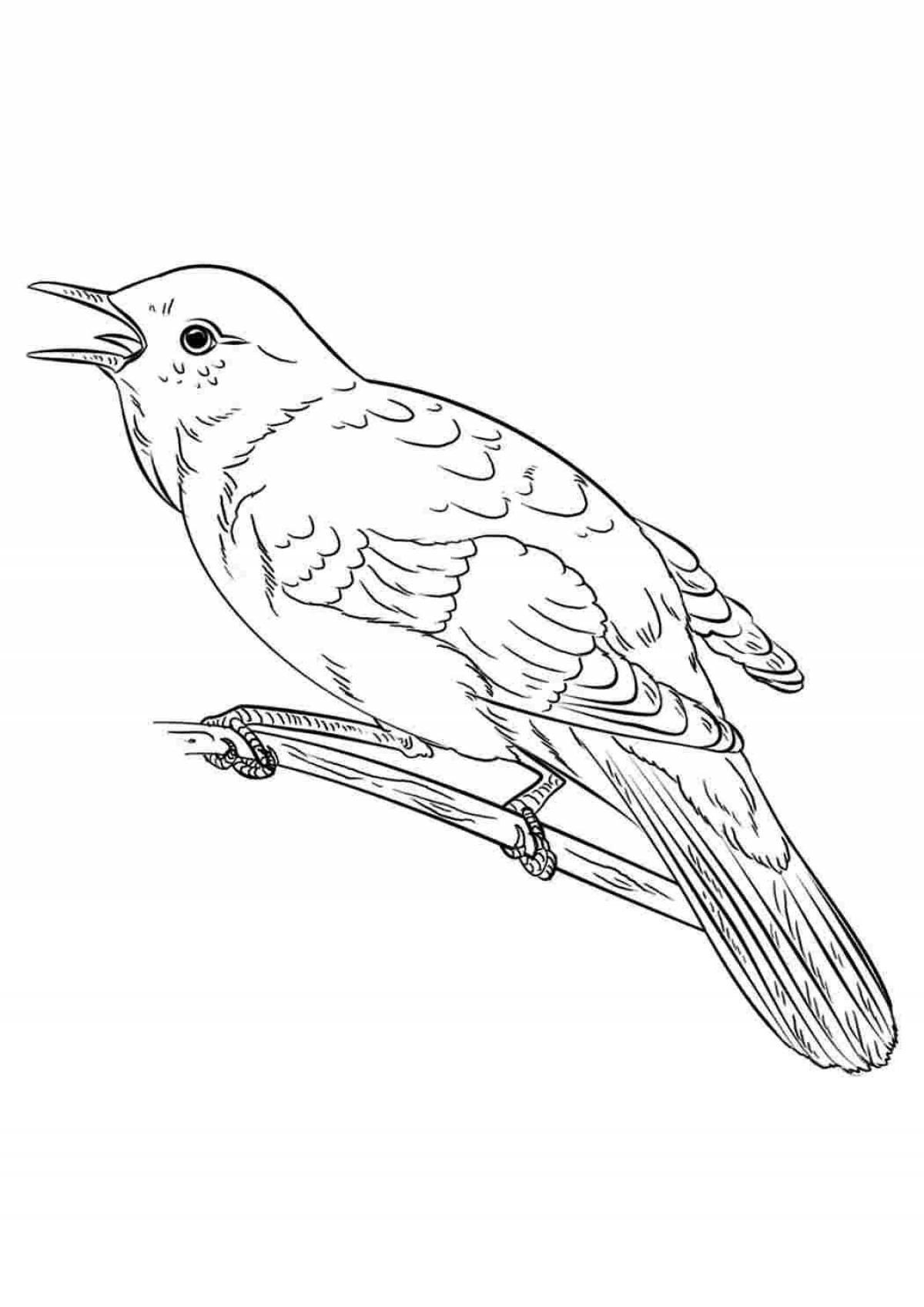 Adorable cuckoo coloring book for kids