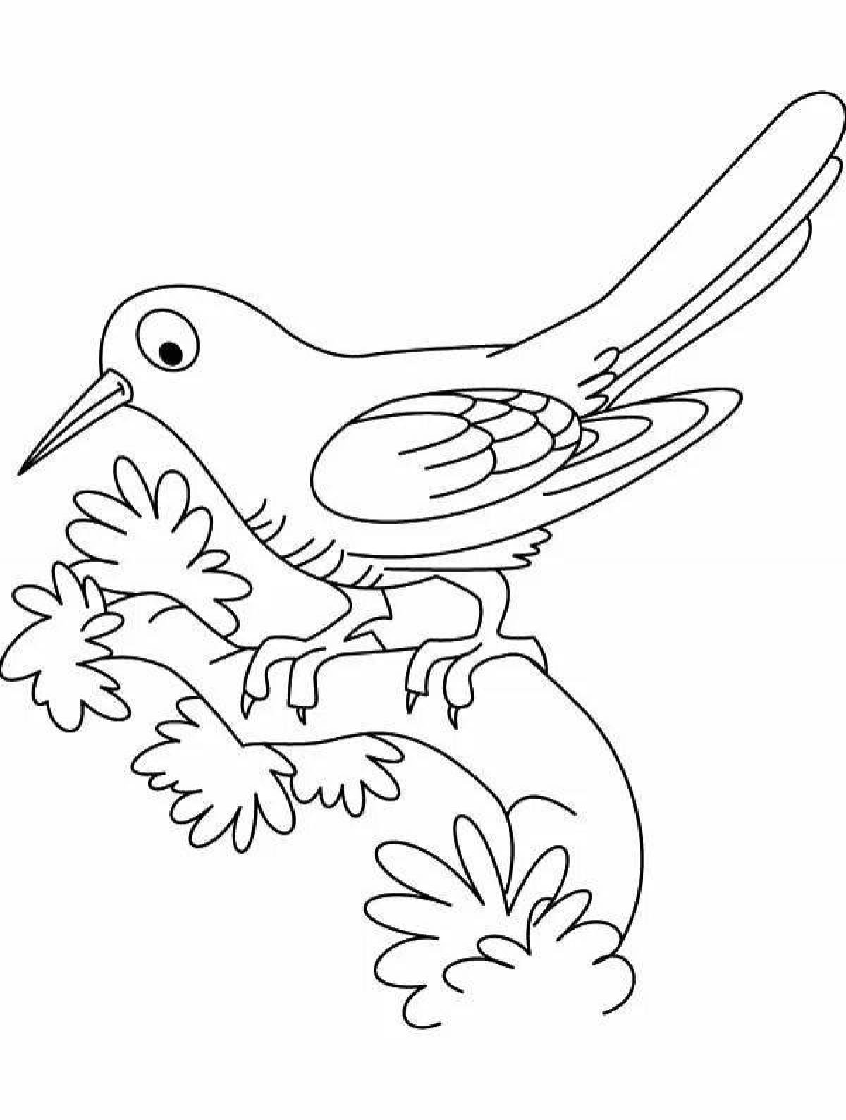 Cuckoo fun coloring book for kids