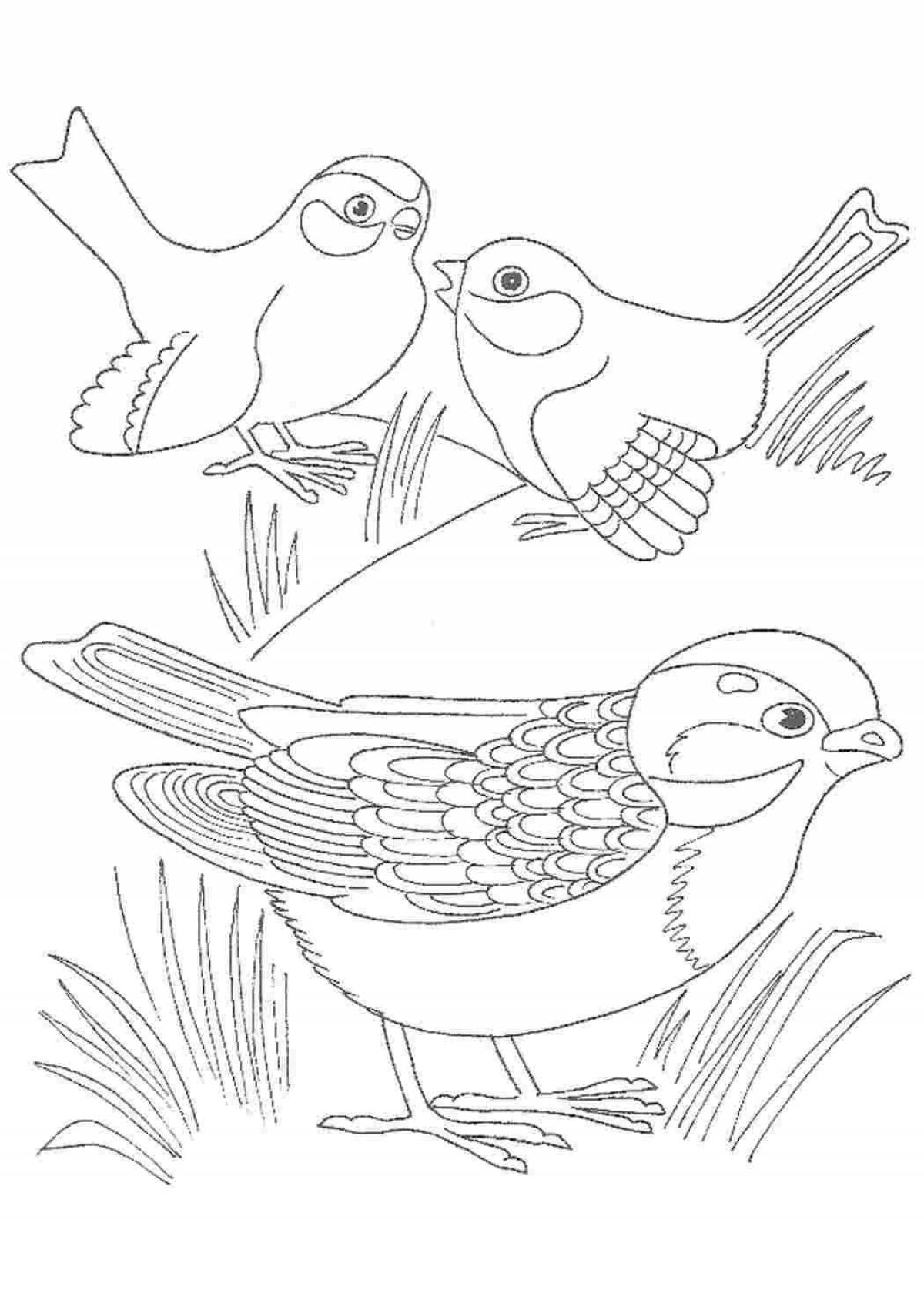 Glorious Cuckoo Coloring for Toddlers