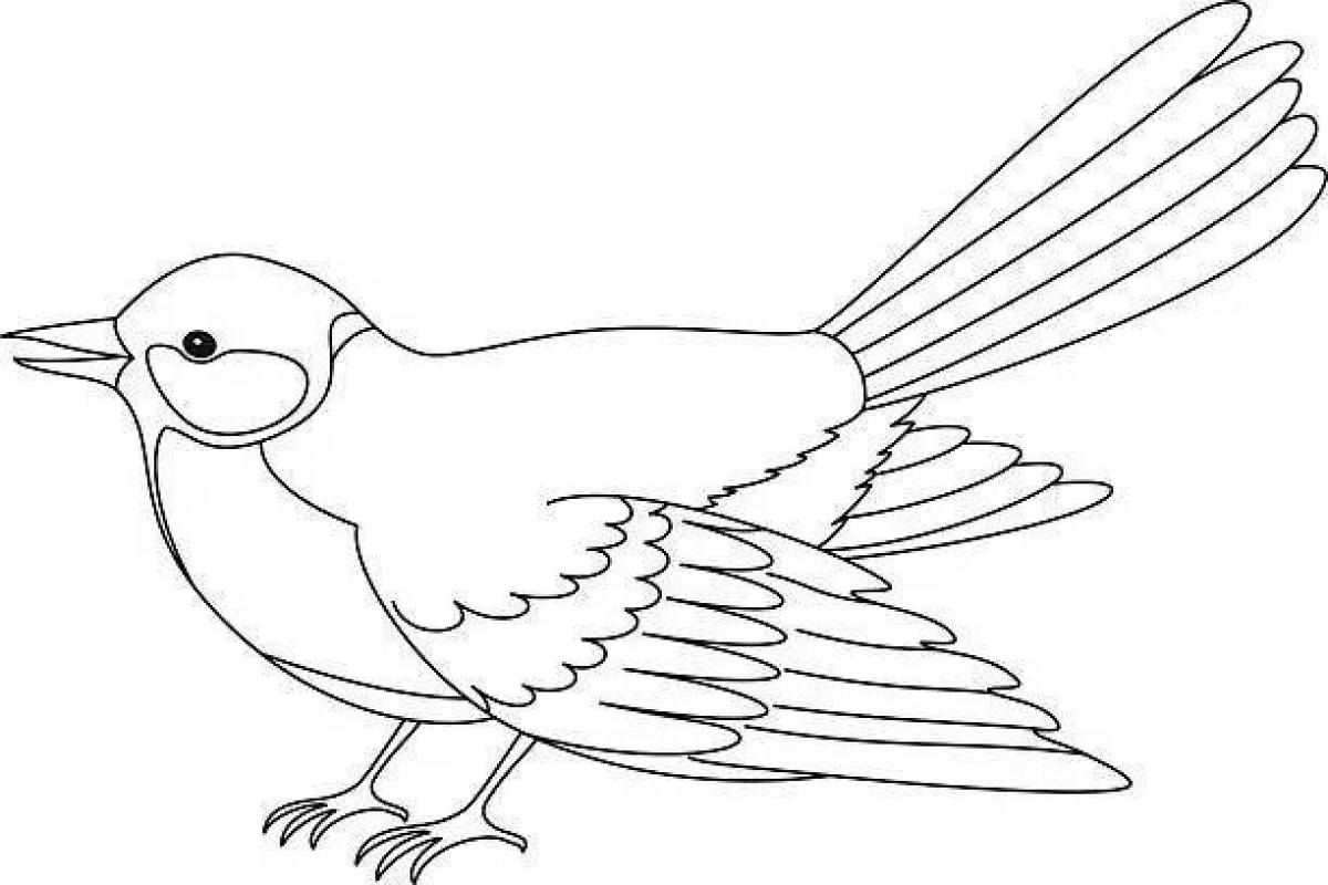 Cuckoo coloring book for kids