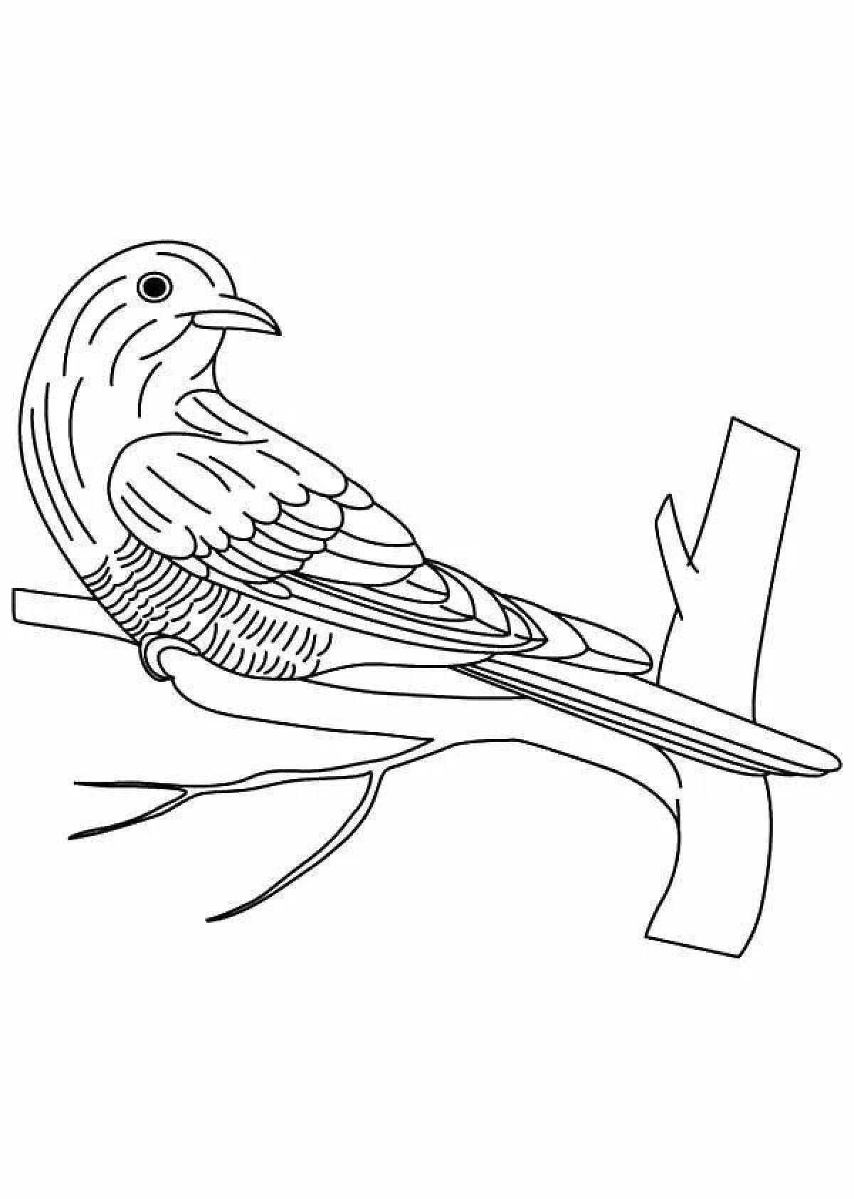 Cute cuckoo coloring for students
