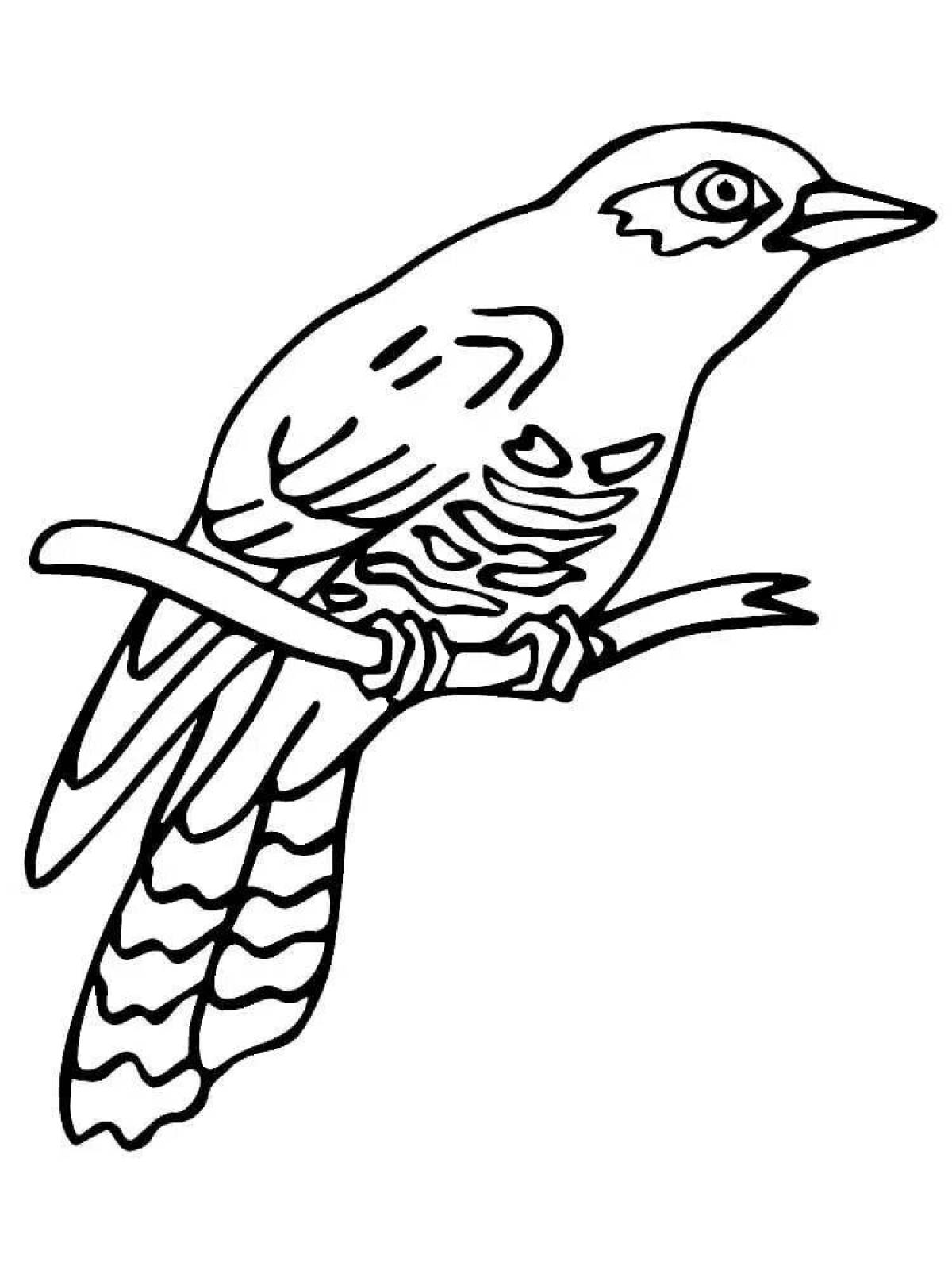 Zani cuckoo coloring for schoolchildren
