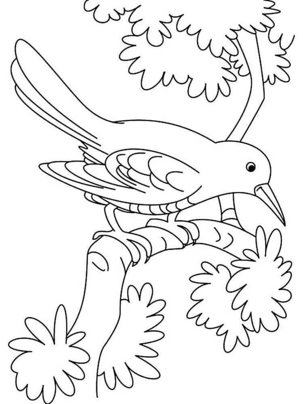 Раскраска zippy cuckoo для детей