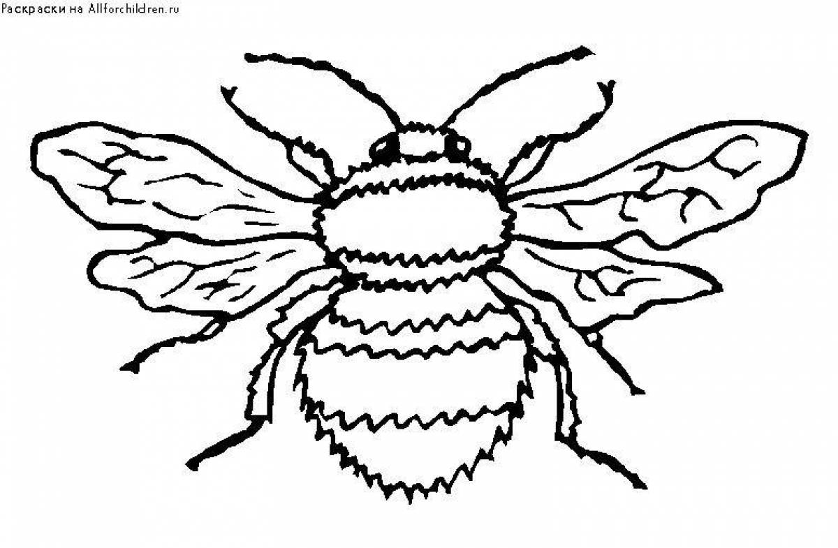 Cheerful shemale coloring pages for kids