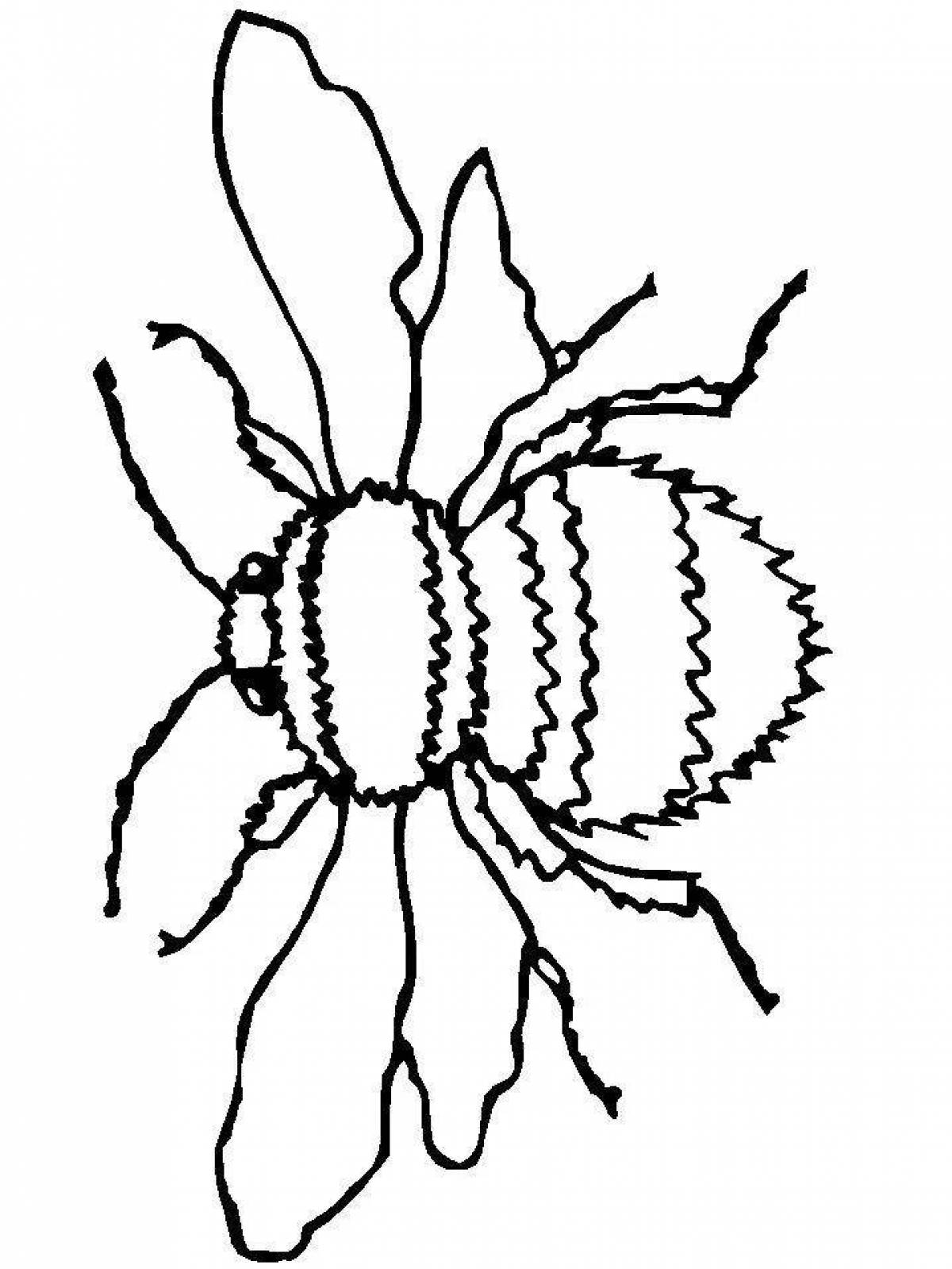 Раскраска насекомые Шмель