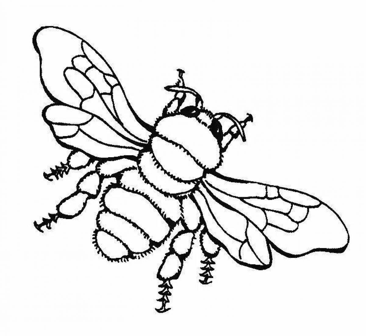 Раскраски насекомые для детей 5 6. Пчела раскраска. Пчела раскраска для детей. Насекомые раскраска для детей. Раскраска насекомые для малышей.