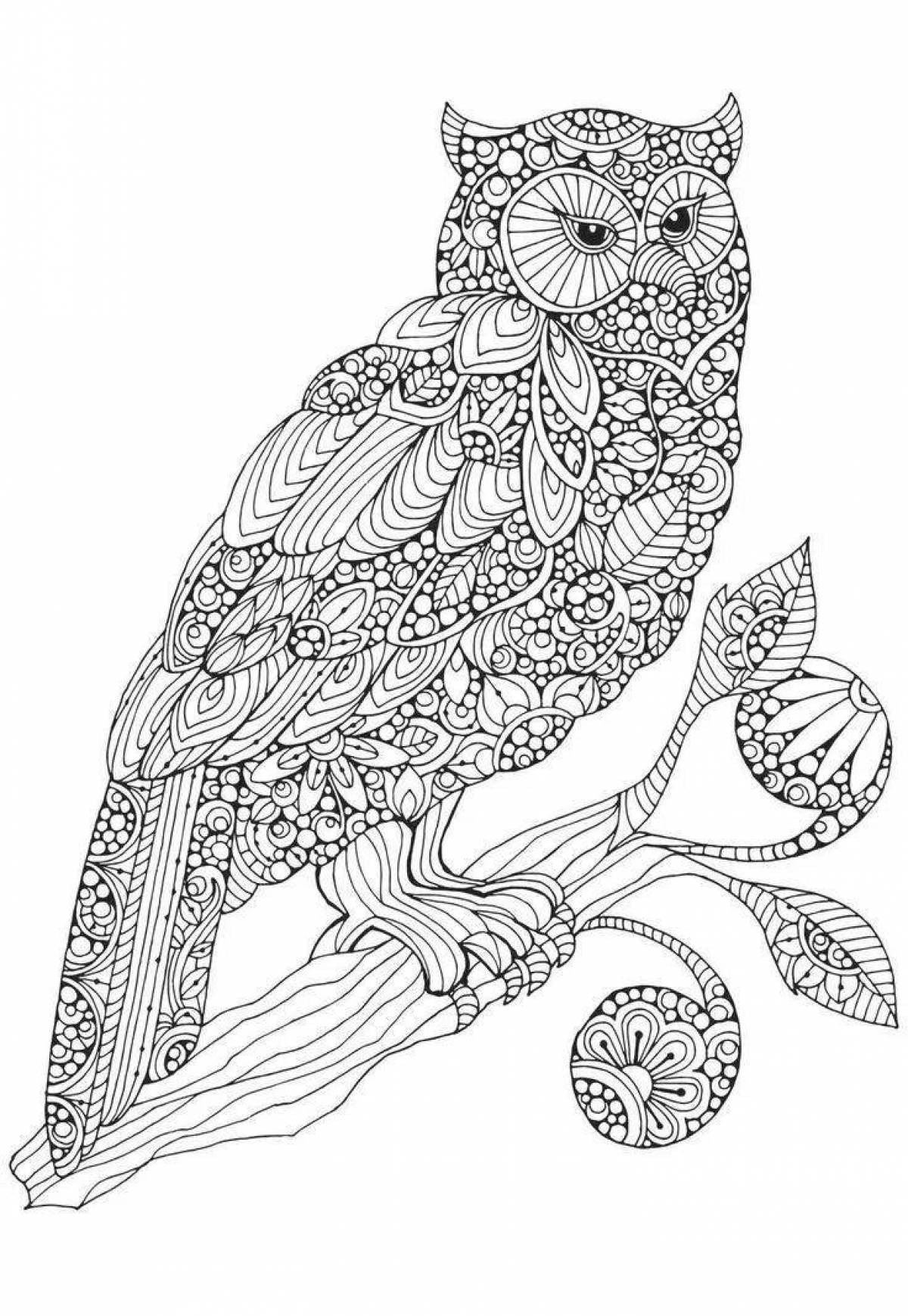 Creative animal coloring for girls
