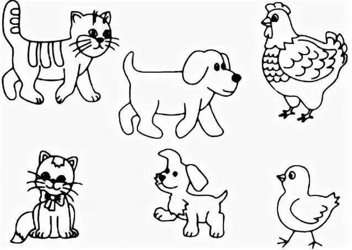 Attractive coloring pets 2 junior group
